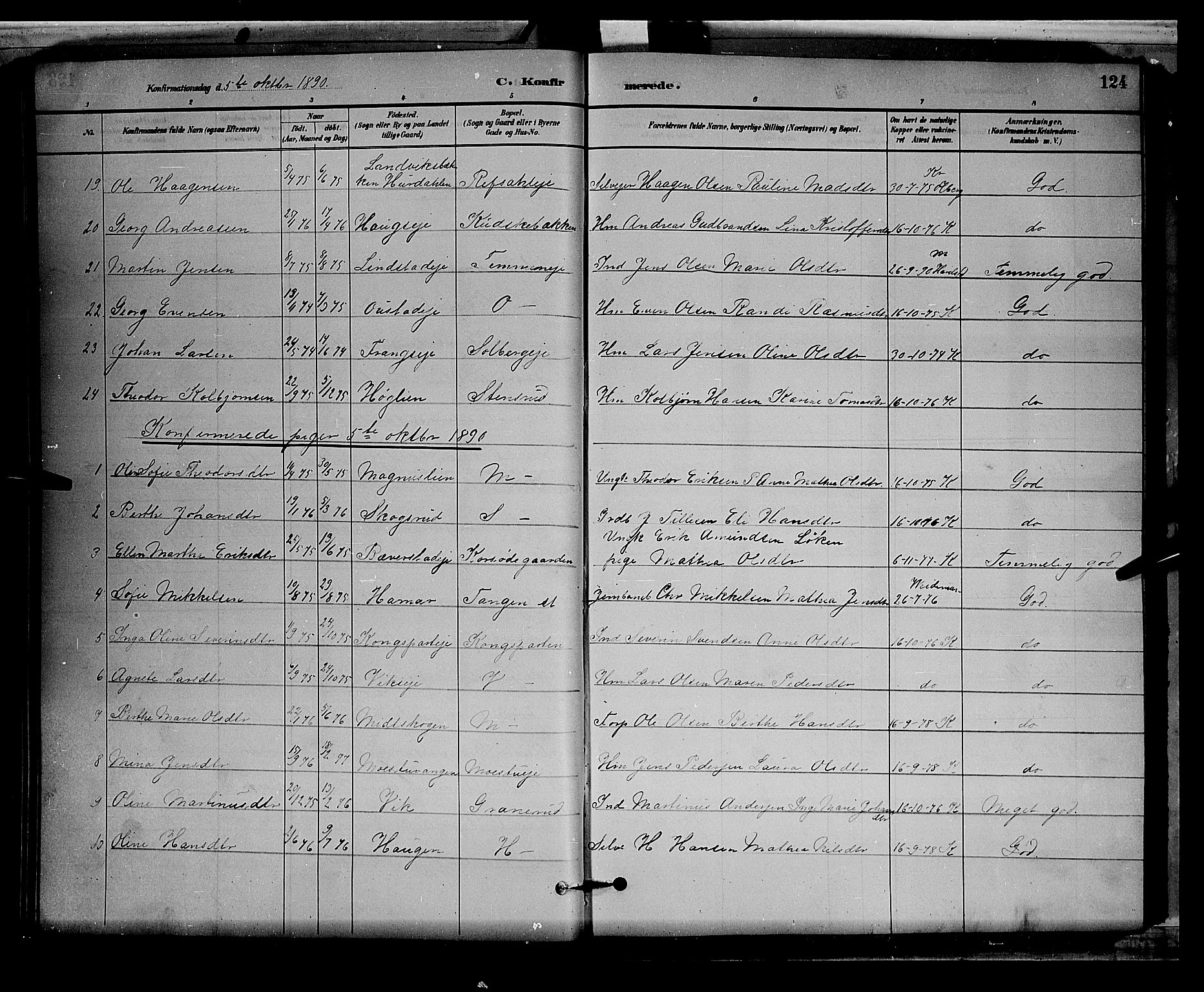 Stange prestekontor, AV/SAH-PREST-002/L/L0008: Parish register (copy) no. 8, 1882-1895, p. 124