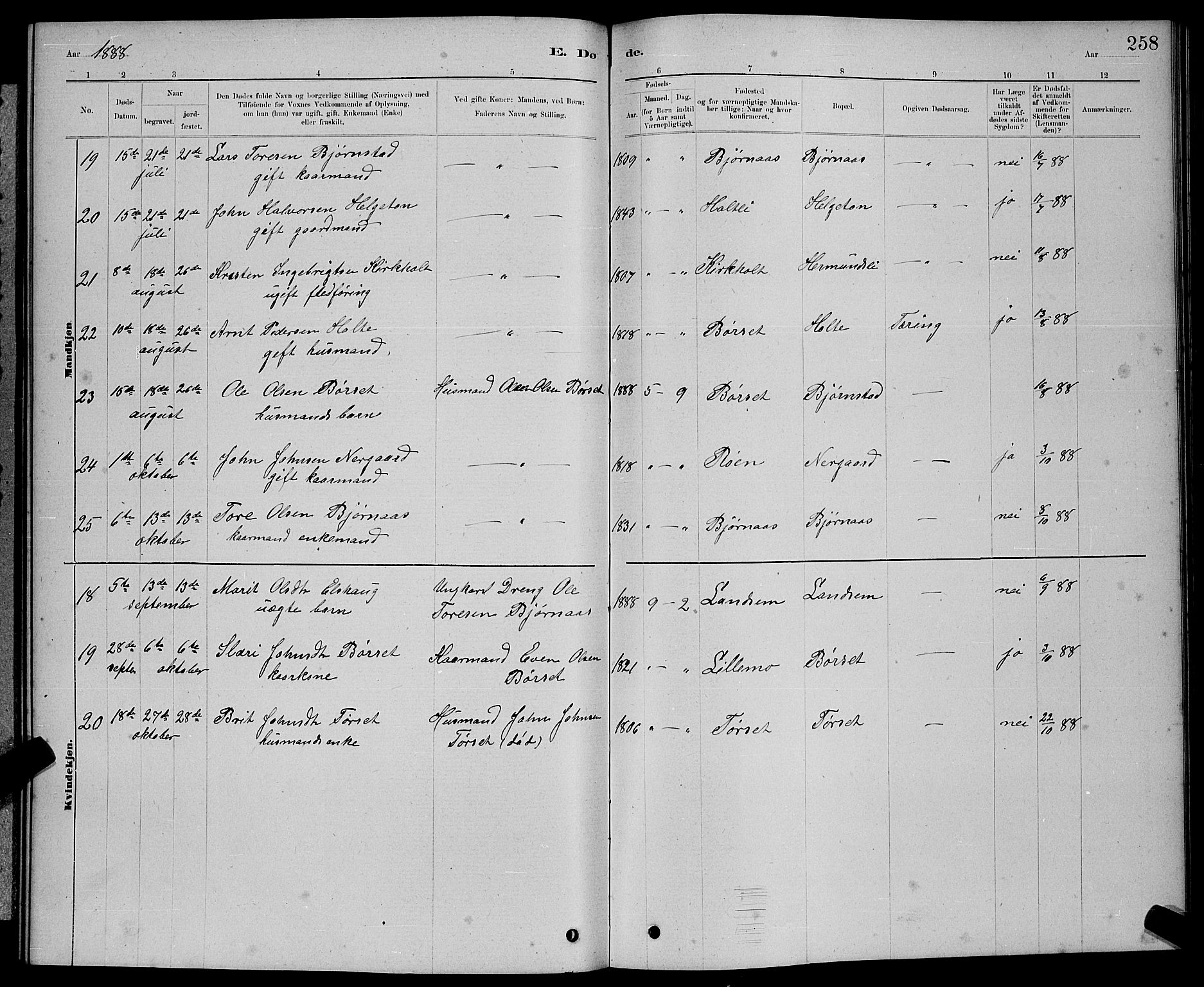 Ministerialprotokoller, klokkerbøker og fødselsregistre - Møre og Romsdal, AV/SAT-A-1454/598/L1077: Parish register (copy) no. 598C02, 1879-1891, p. 258