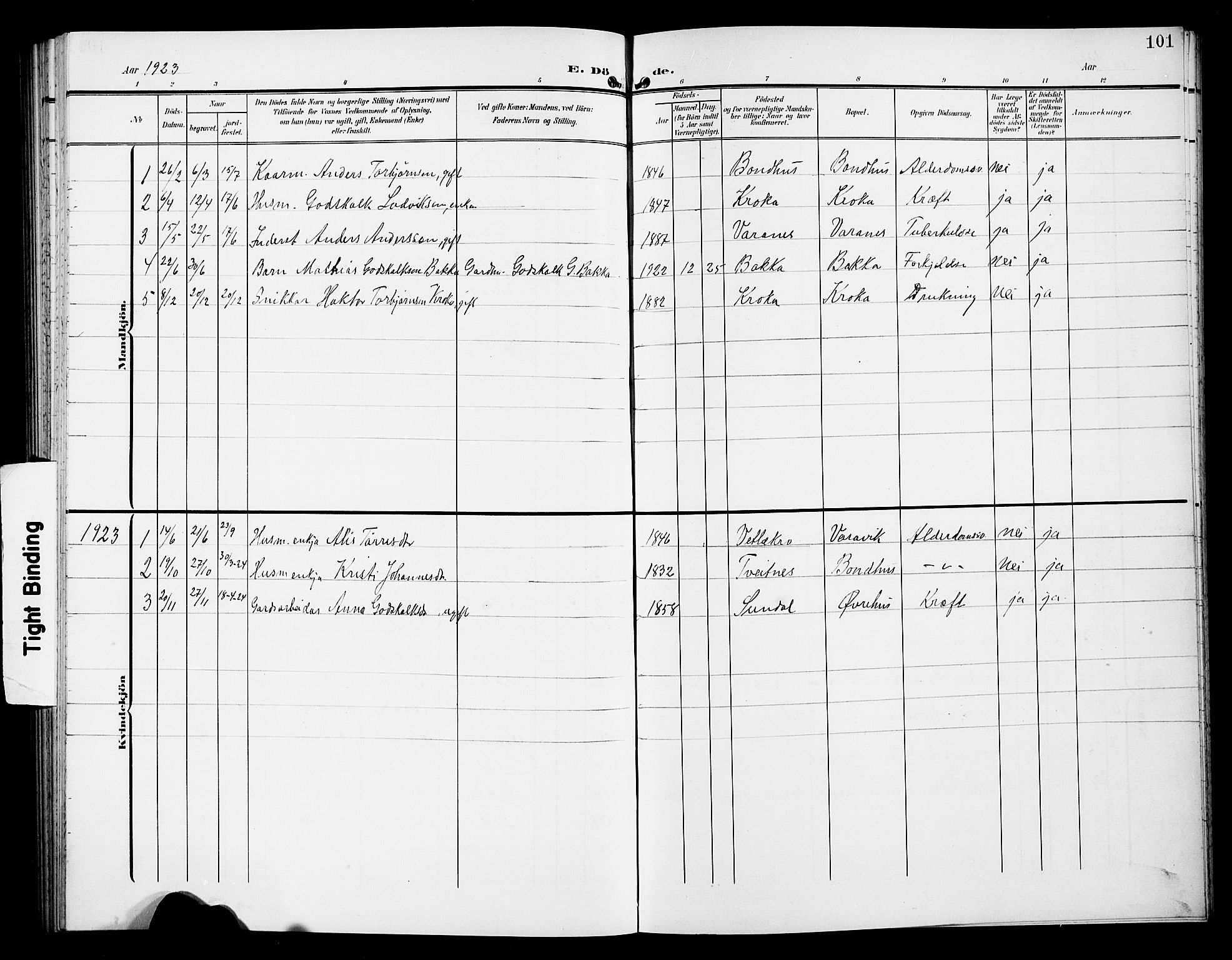 Kvinnherad sokneprestembete, SAB/A-76401/H/Hab: Parish register (copy) no. D 2, 1906-1926, p. 101
