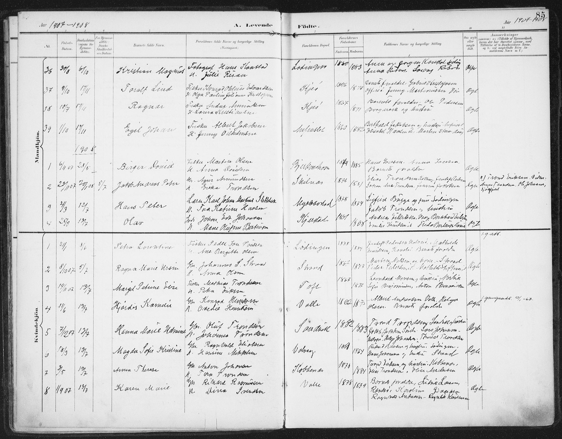 Ministerialprotokoller, klokkerbøker og fødselsregistre - Nordland, AV/SAT-A-1459/872/L1036: Parish register (official) no. 872A11, 1897-1913, p. 85