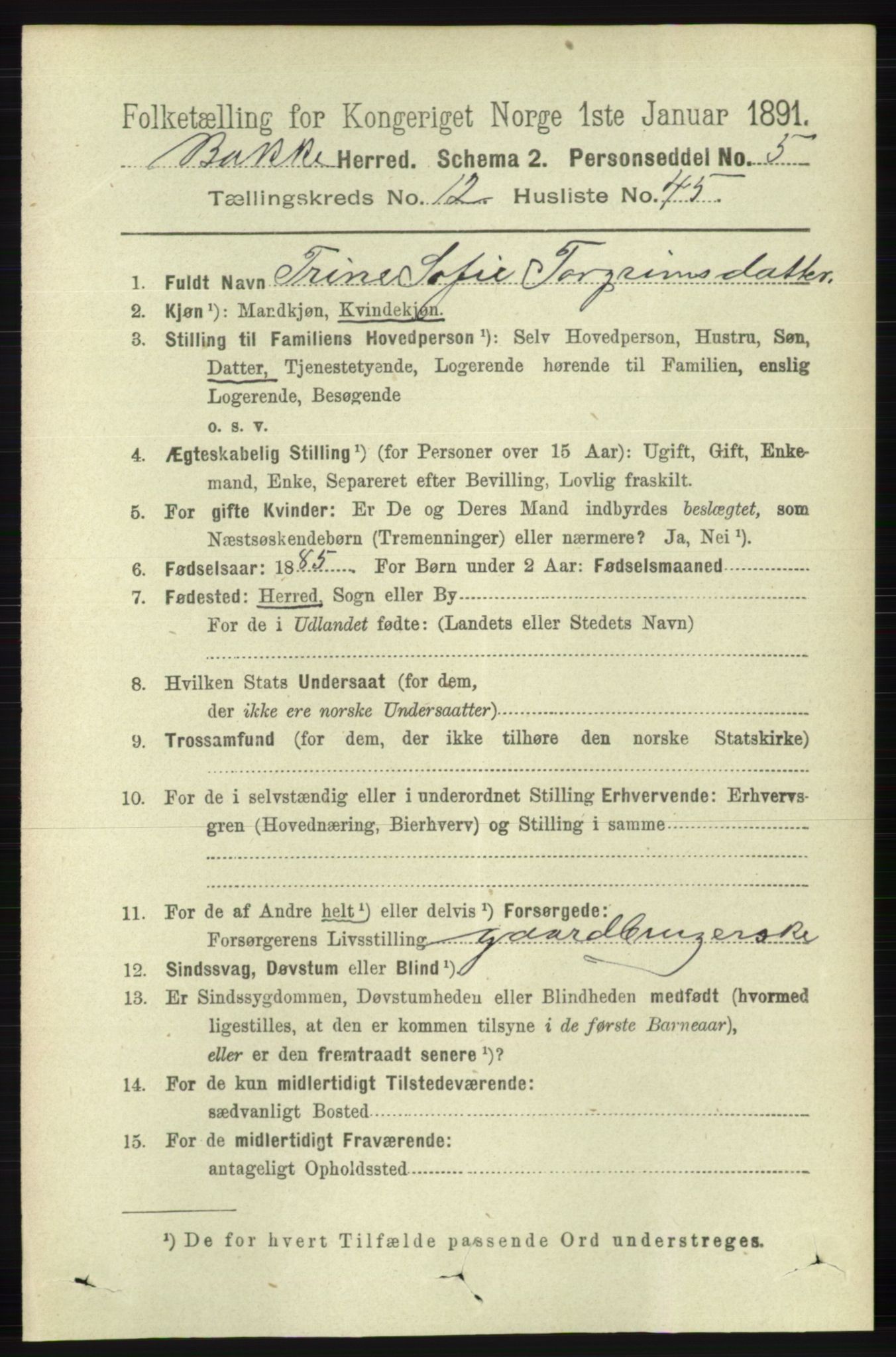 RA, 1891 census for 1045 Bakke, 1891, p. 2664