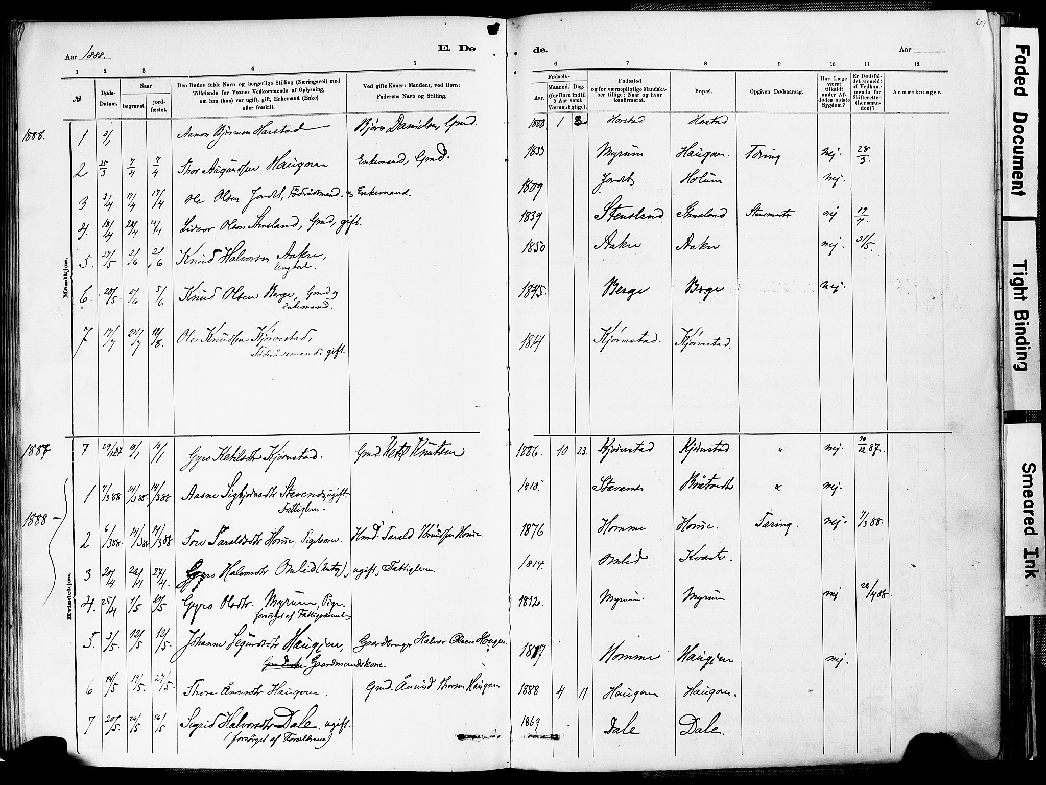 Valle sokneprestkontor, AV/SAK-1111-0044/F/Fa/Fac/L0009: Parish register (official) no. A 9, 1882-1913, p. 204