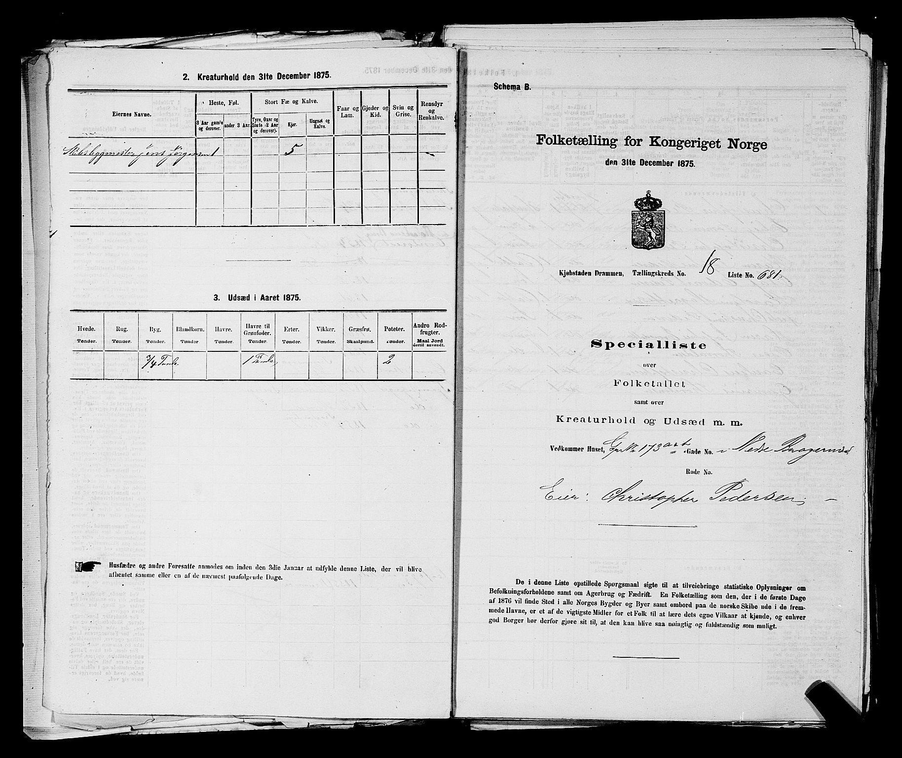 SAKO, 1875 census for 0602 Drammen, 1875, p. 1929