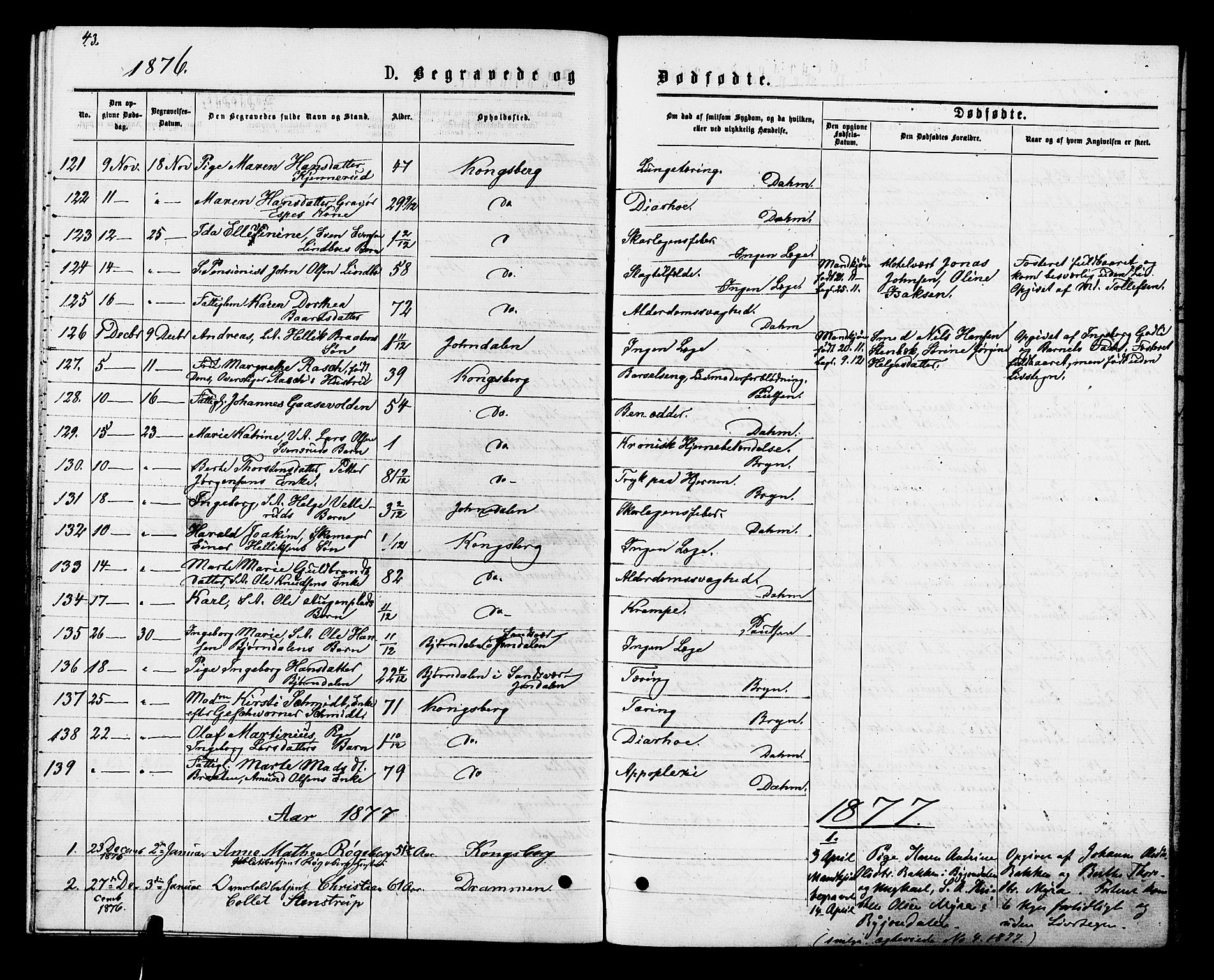 Kongsberg kirkebøker, SAKO/A-22/F/Fa/L0011: Parish register (official) no. I 11, 1876-1877, p. 43