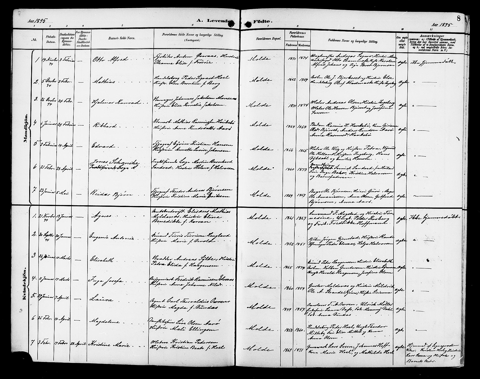 Ministerialprotokoller, klokkerbøker og fødselsregistre - Møre og Romsdal, SAT/A-1454/558/L0702: Parish register (copy) no. 558C03, 1894-1915, p. 8
