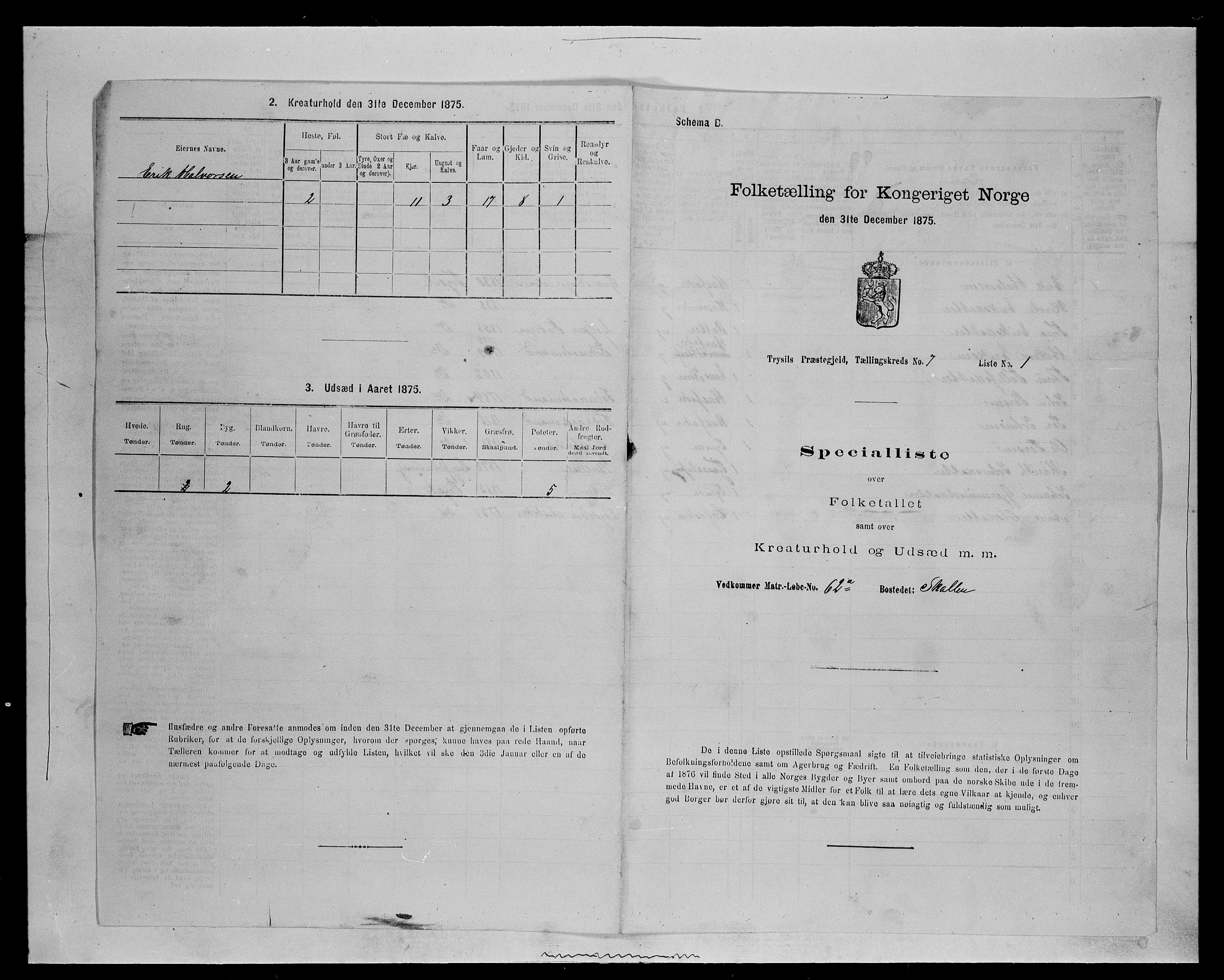 SAH, 1875 census for 0428P Trysil, 1875, p. 844