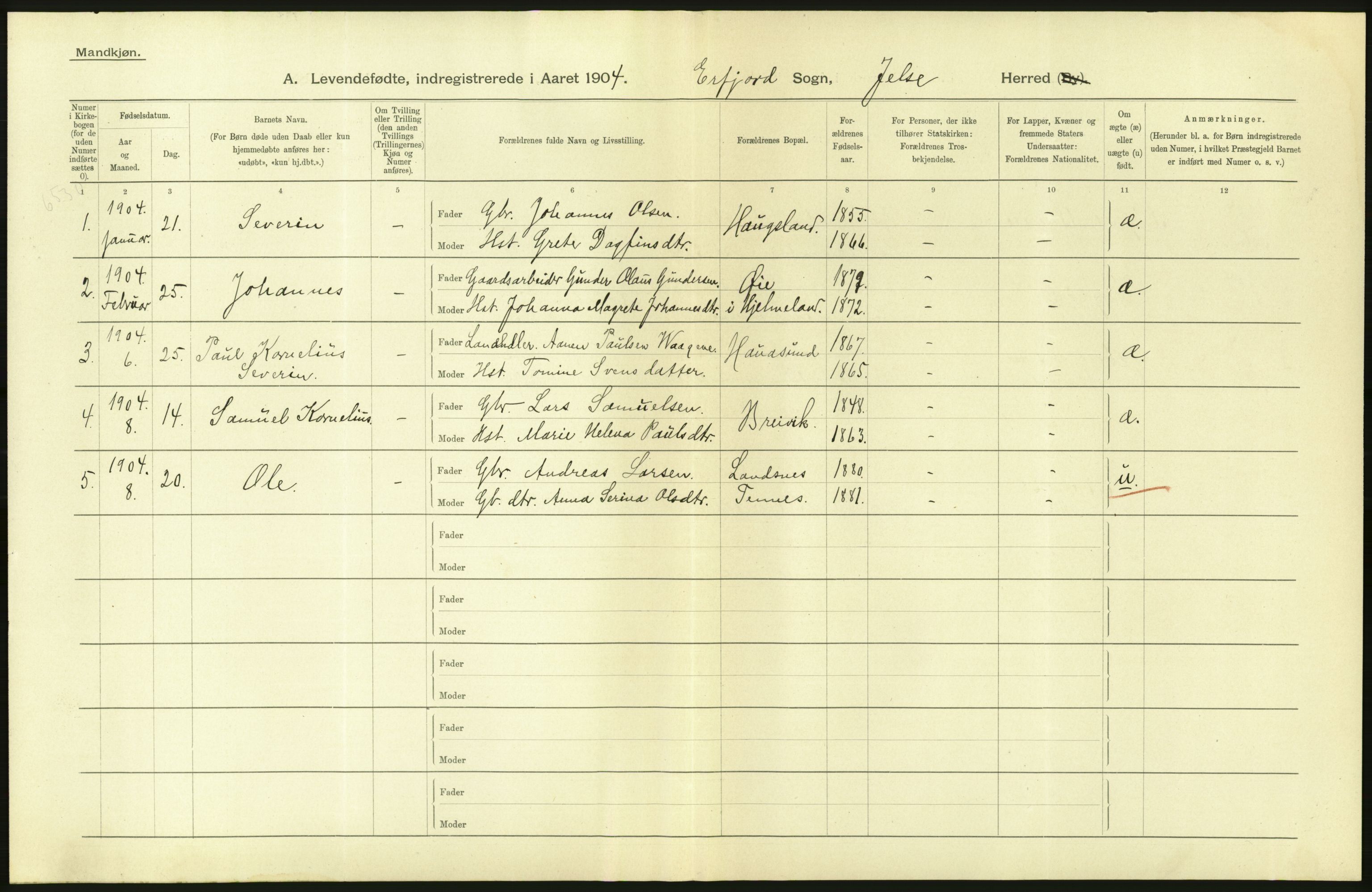 Statistisk sentralbyrå, Sosiodemografiske emner, Befolkning, AV/RA-S-2228/D/Df/Dfa/Dfab/L0012: Stavanger amt: Fødte, gifte, døde, 1904, p. 348