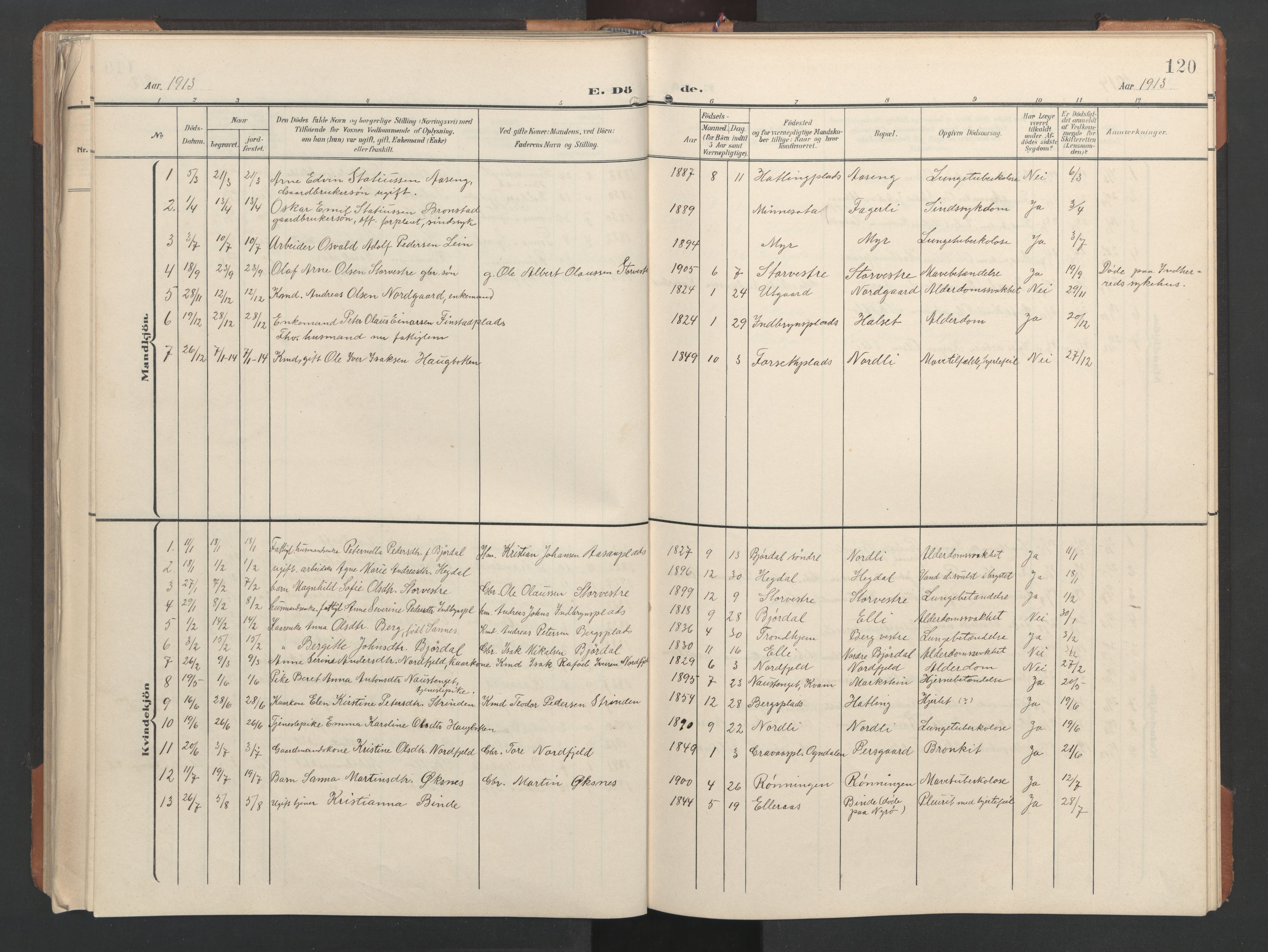 Ministerialprotokoller, klokkerbøker og fødselsregistre - Nord-Trøndelag, SAT/A-1458/746/L0455: Parish register (copy) no. 746C01, 1908-1933, p. 120