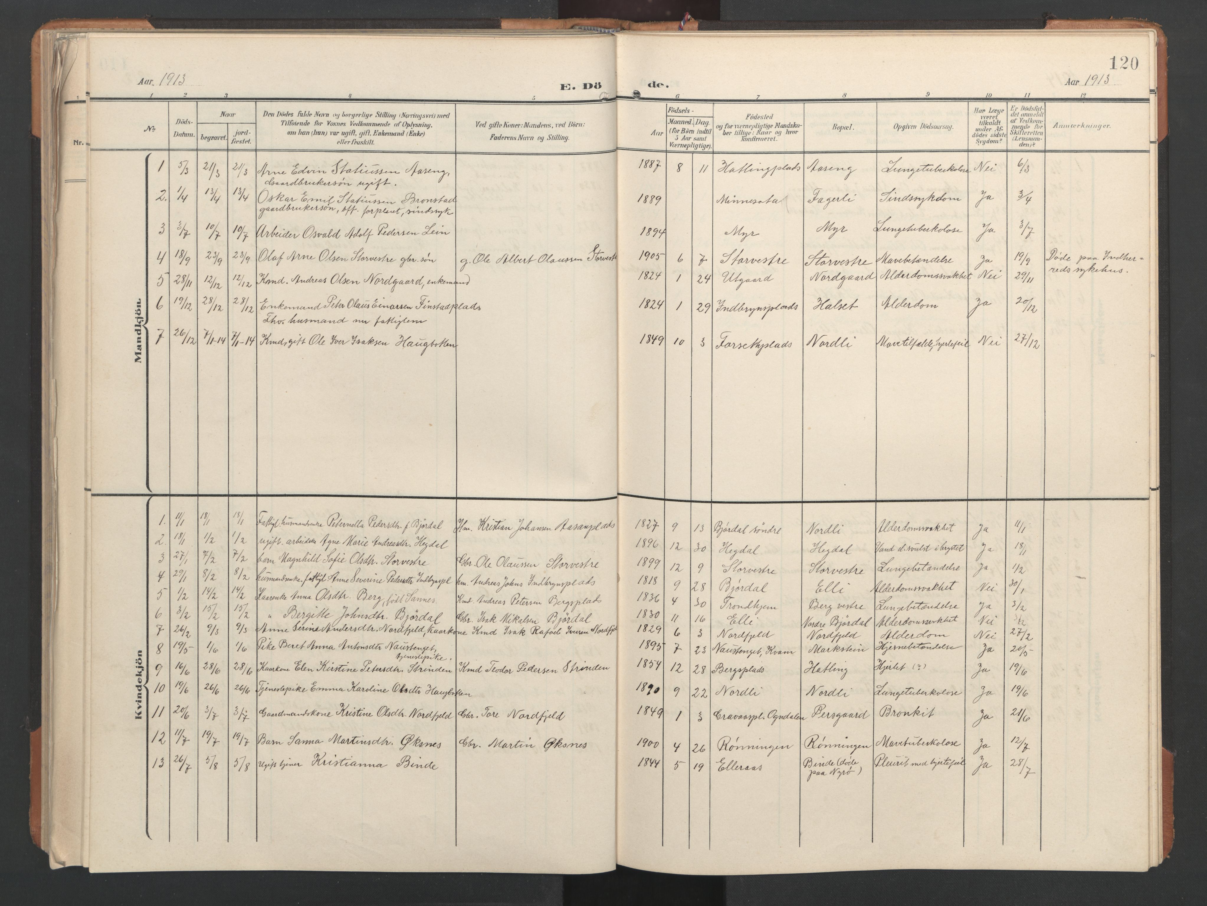 Ministerialprotokoller, klokkerbøker og fødselsregistre - Nord-Trøndelag, AV/SAT-A-1458/746/L0455: Parish register (copy) no. 746C01, 1908-1933, p. 120