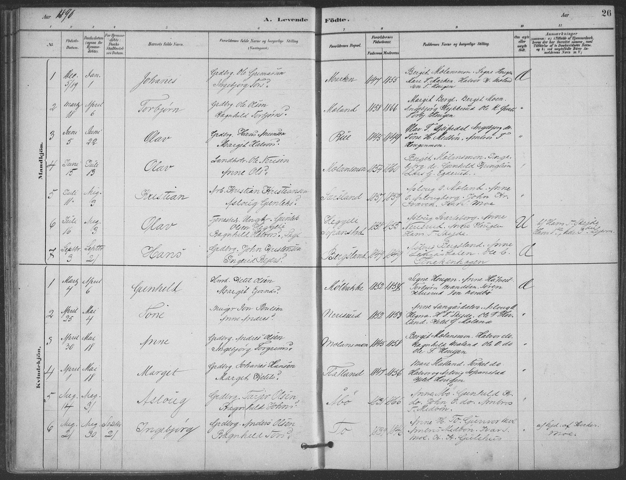 Hjartdal kirkebøker, SAKO/A-270/F/Fa/L0010: Parish register (official) no. I 10, 1880-1929, p. 26