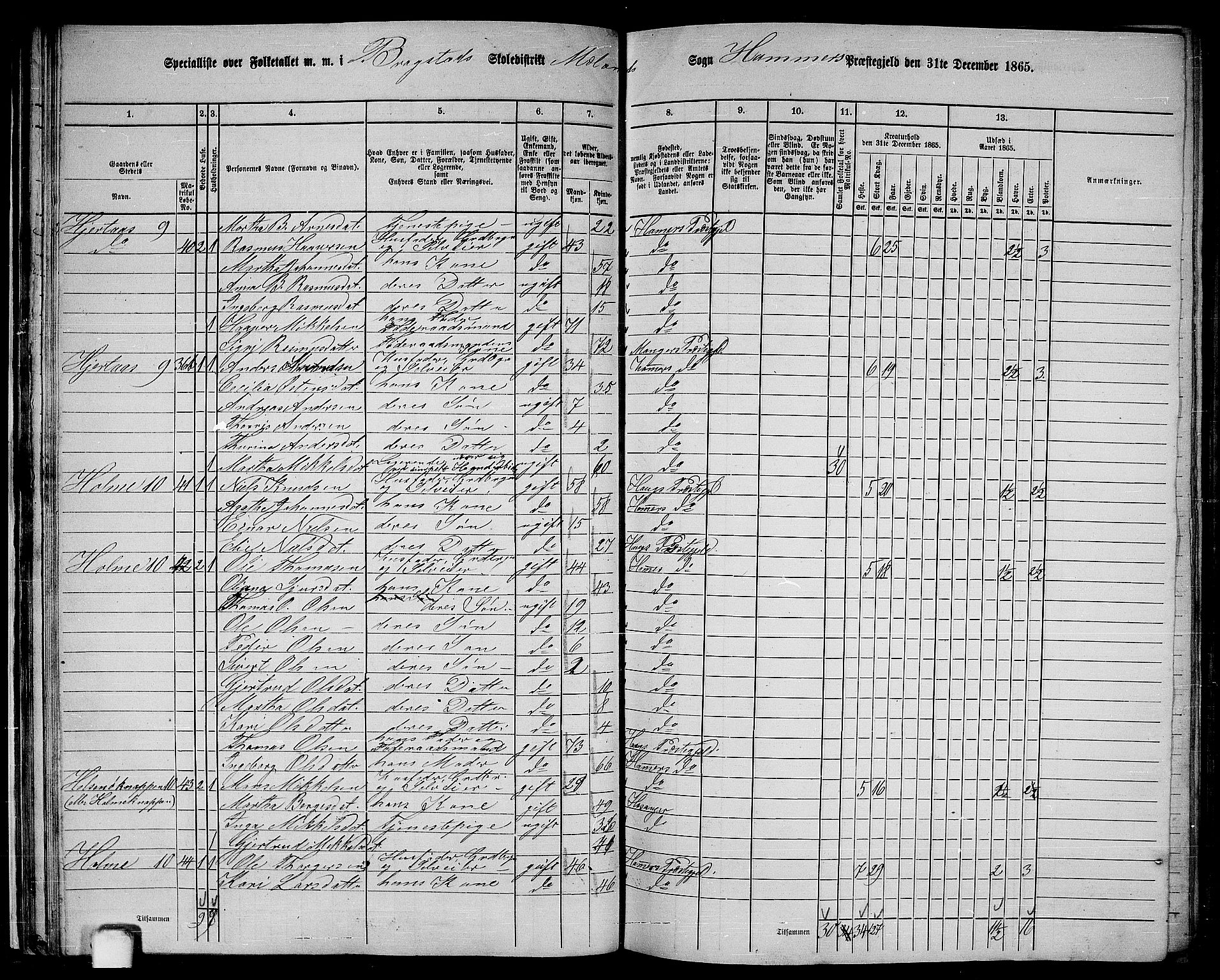 RA, 1865 census for Hamre, 1865, p. 34