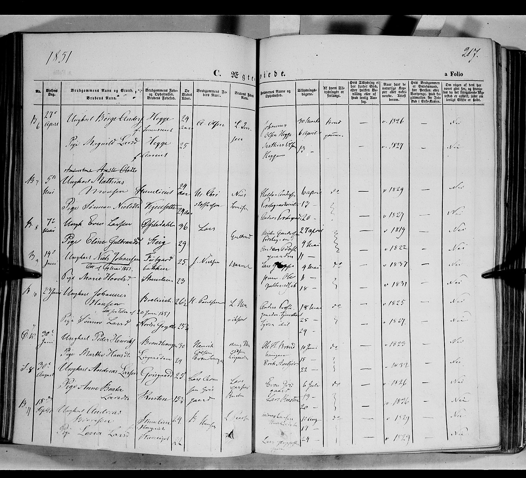 Biri prestekontor, AV/SAH-PREST-096/H/Ha/Haa/L0005: Parish register (official) no. 5, 1843-1854, p. 217