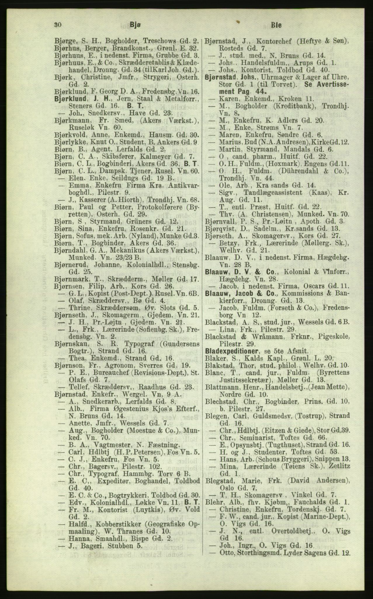 Kristiania/Oslo adressebok, PUBL/-, 1884, p. 30