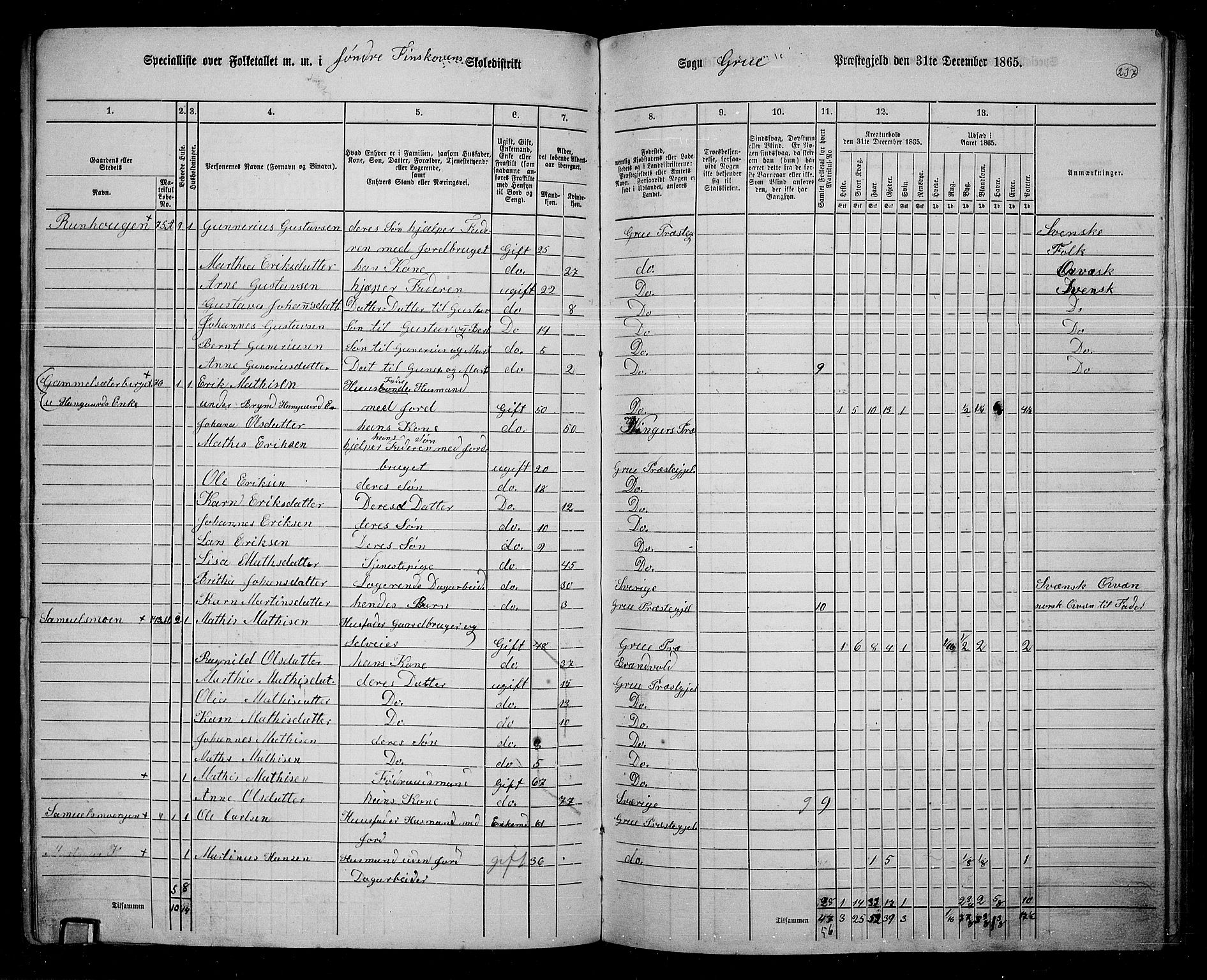 RA, 1865 census for Grue, 1865, p. 207