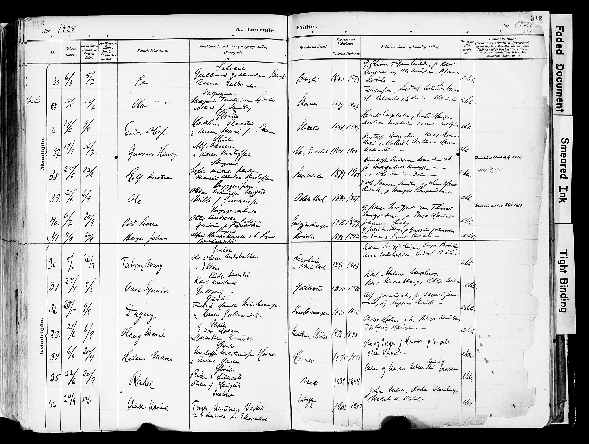 Sør-Odal prestekontor, AV/SAH-PREST-030/H/Ha/Haa/L0006: Parish register (official) no. 6, 1886-1931, p. 318
