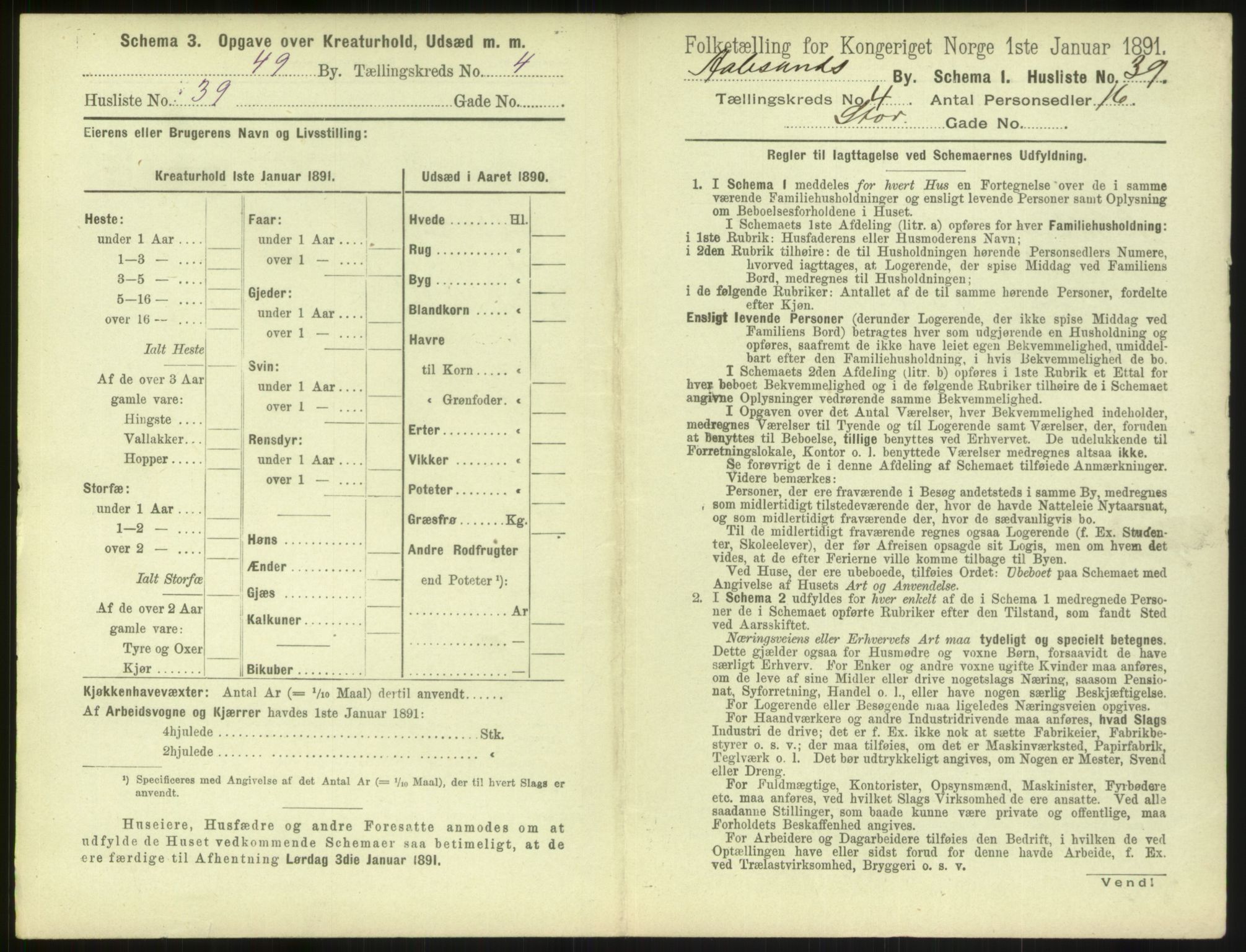 RA, 1891 census for 1501 Ålesund, 1891, p. 372