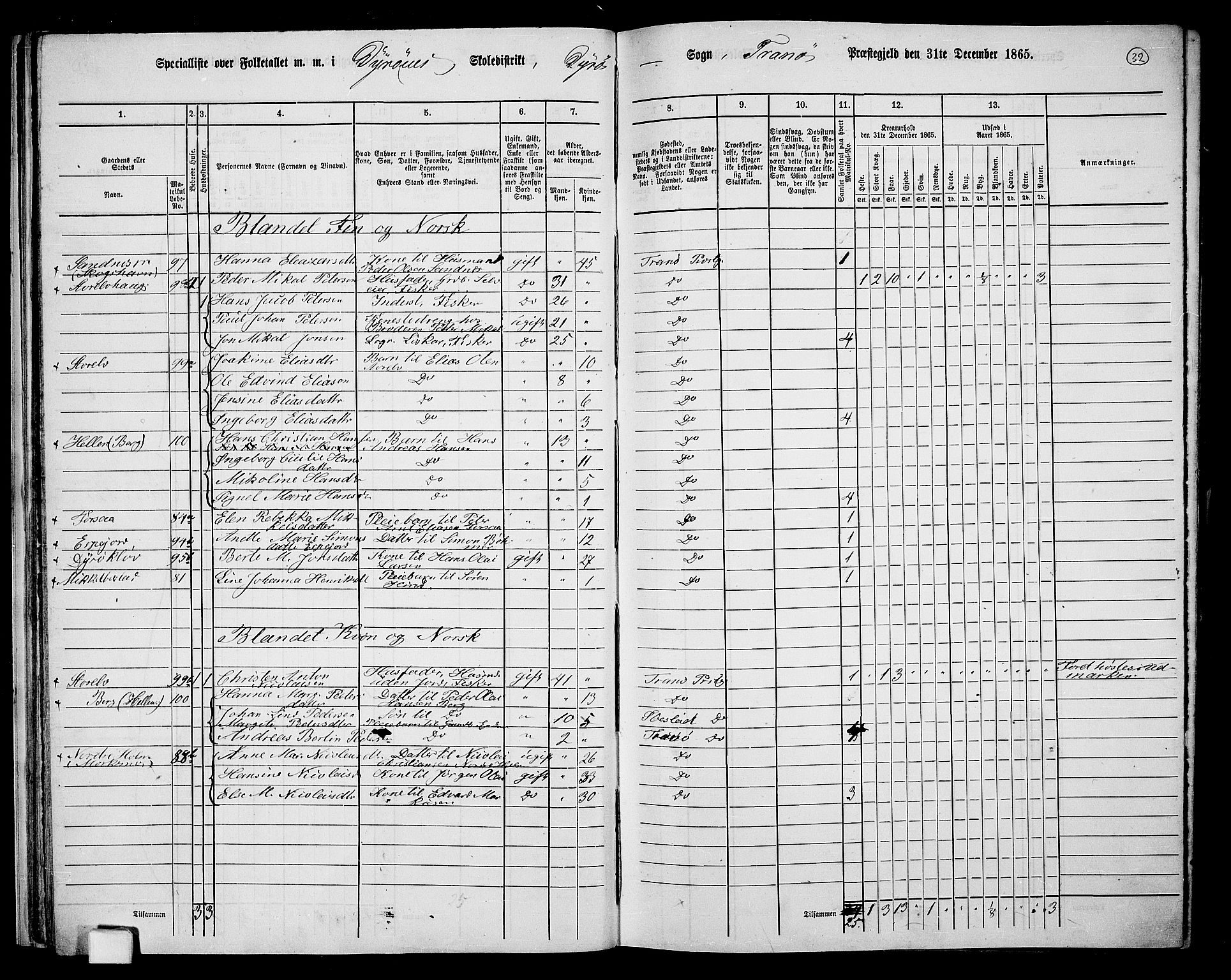 RA, 1865 census for Tranøy, 1865, p. 30