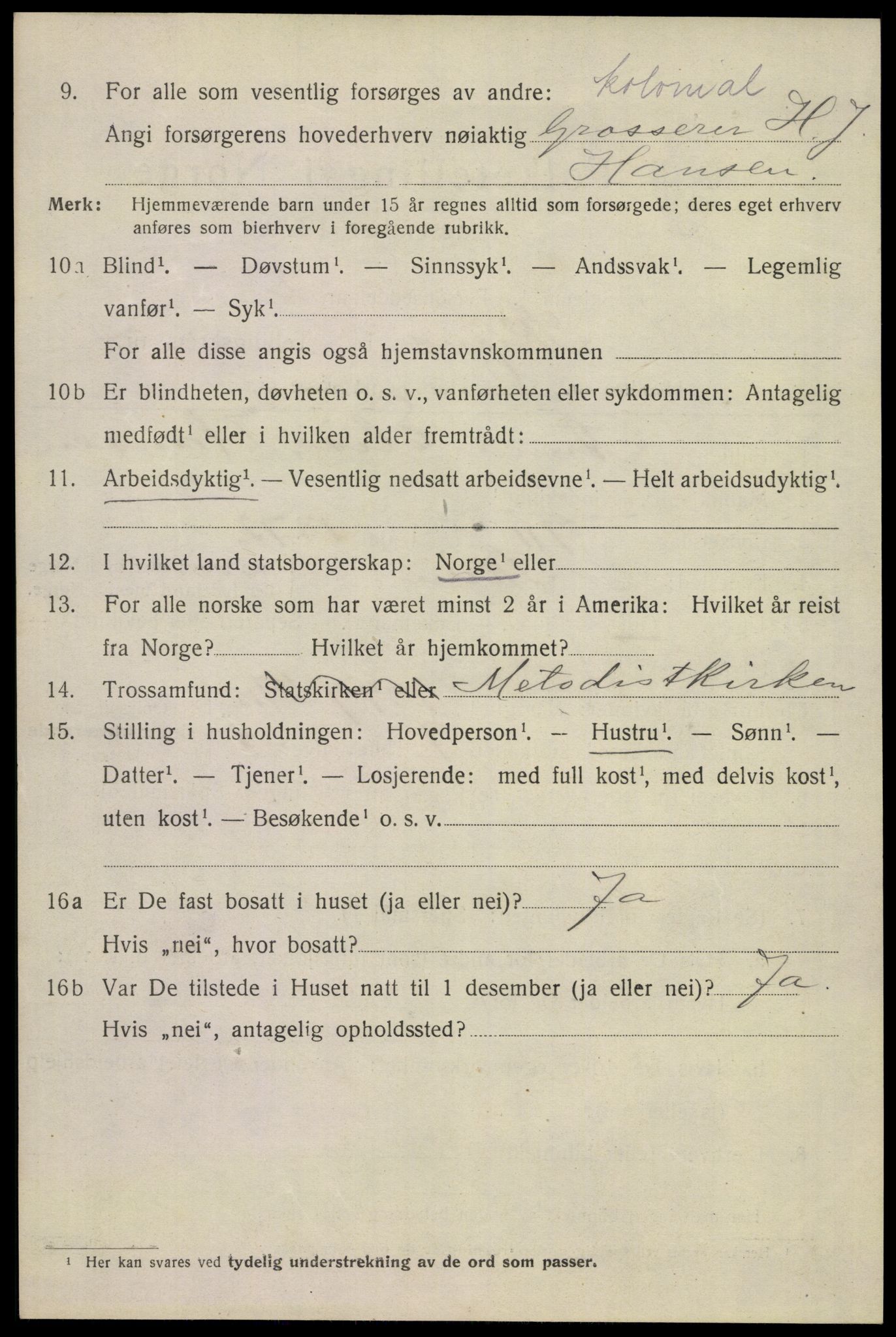 SAKO, 1920 census for Skien, 1920, p. 41019