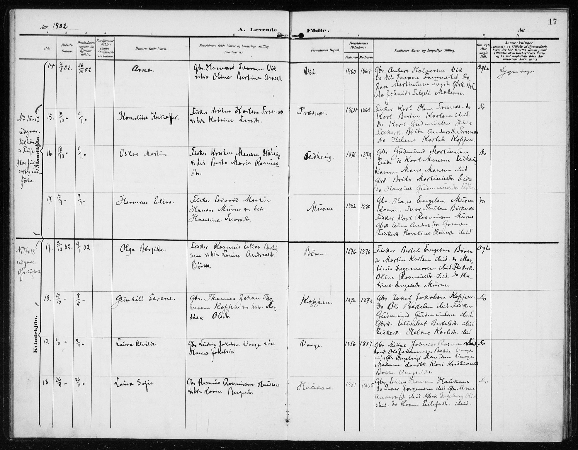 Lindås Sokneprestembete, AV/SAB-A-76701/H/Haa/Haab/L0002: Parish register (official) no. B 2, 1900-1912, p. 17