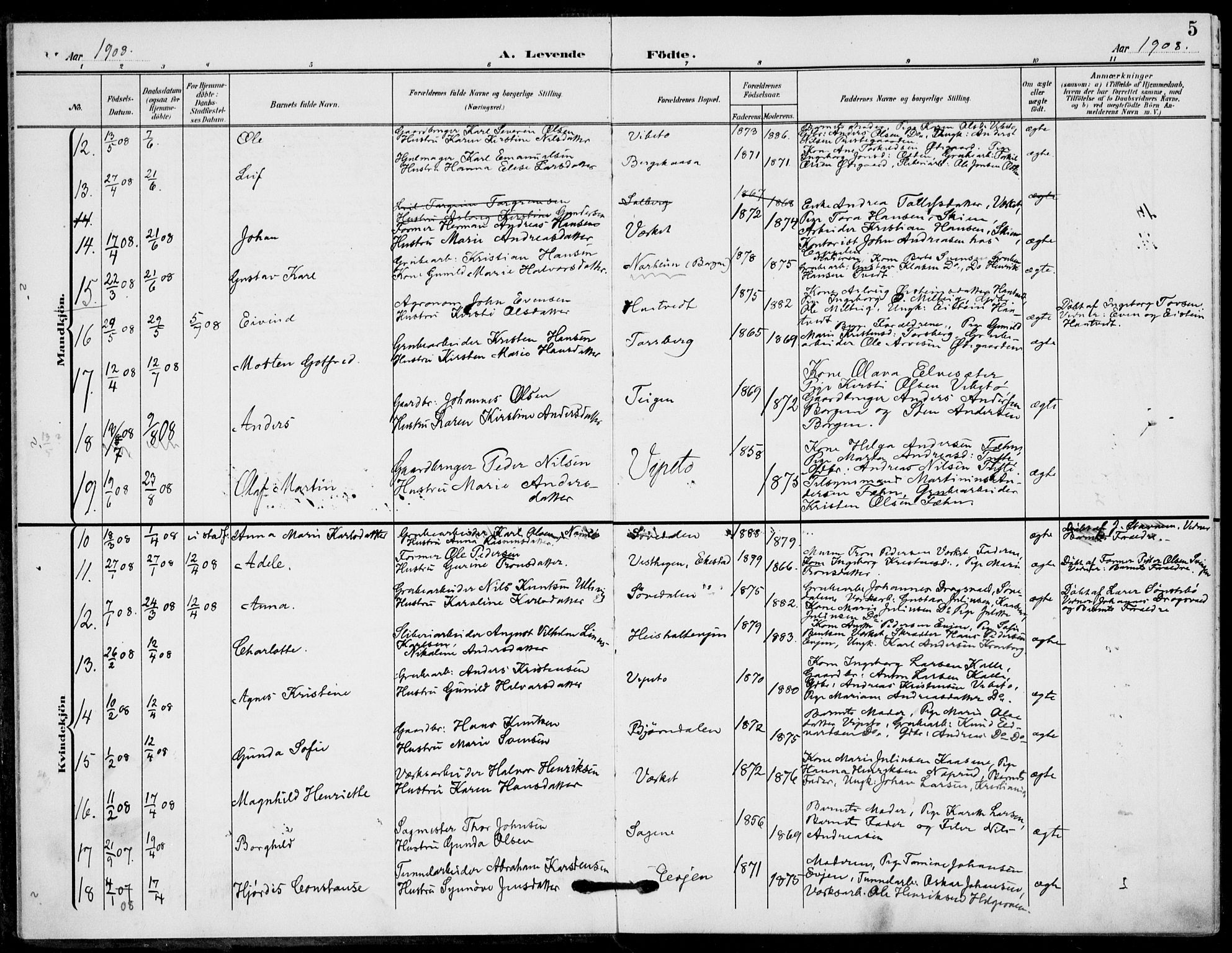 Holla kirkebøker, AV/SAKO-A-272/F/Fa/L0012: Parish register (official) no. 12, 1907-1923, p. 5