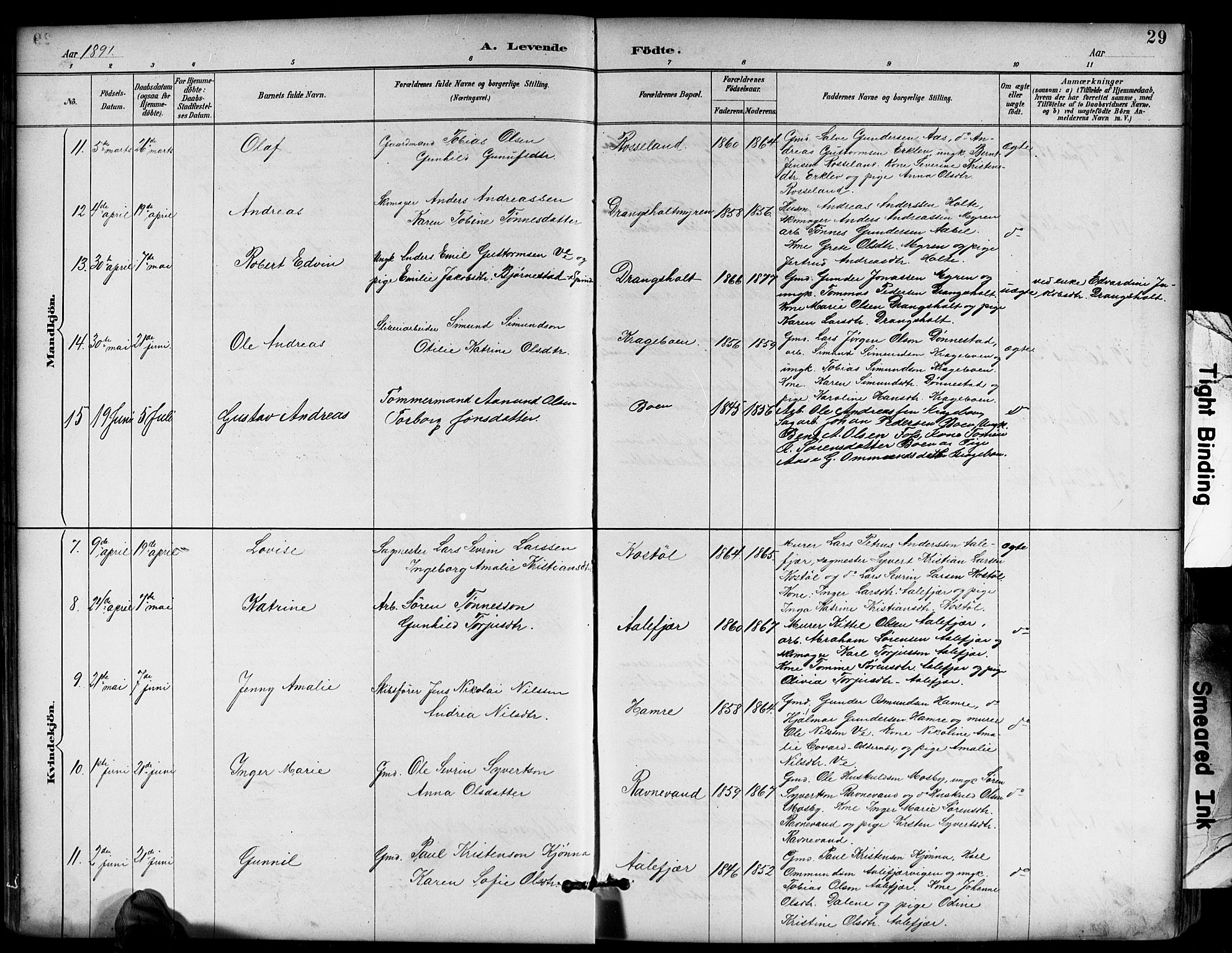 Tveit sokneprestkontor, AV/SAK-1111-0043/F/Fb/L0004: Parish register (copy) no. B 4, 1887-1914, p. 29