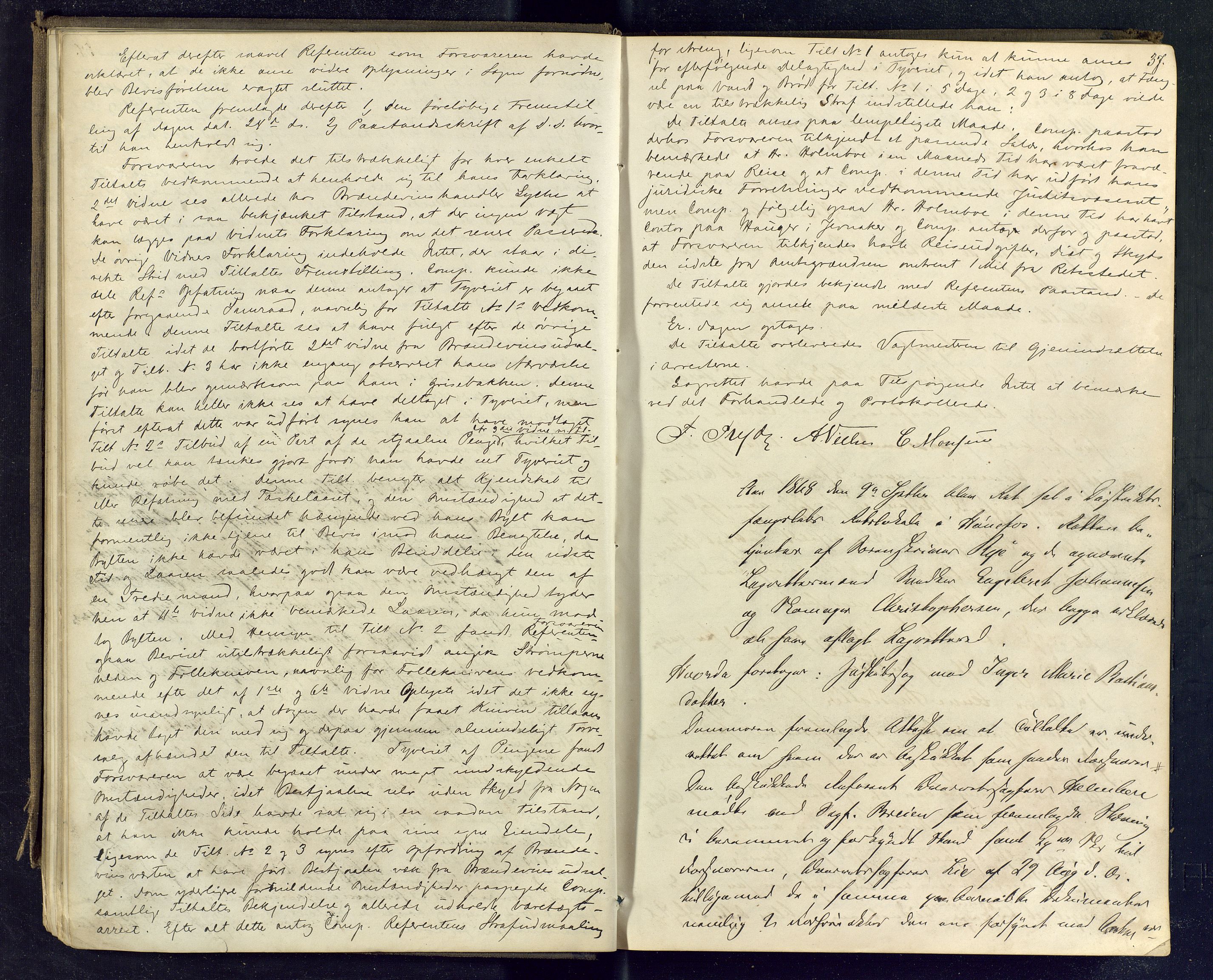 Ringerike sorenskriveri, AV/SAKO-A-105/F/Fc/Fcb/L0003: Ekstrarettsprotokoll, 1868-1878, p. 36-37