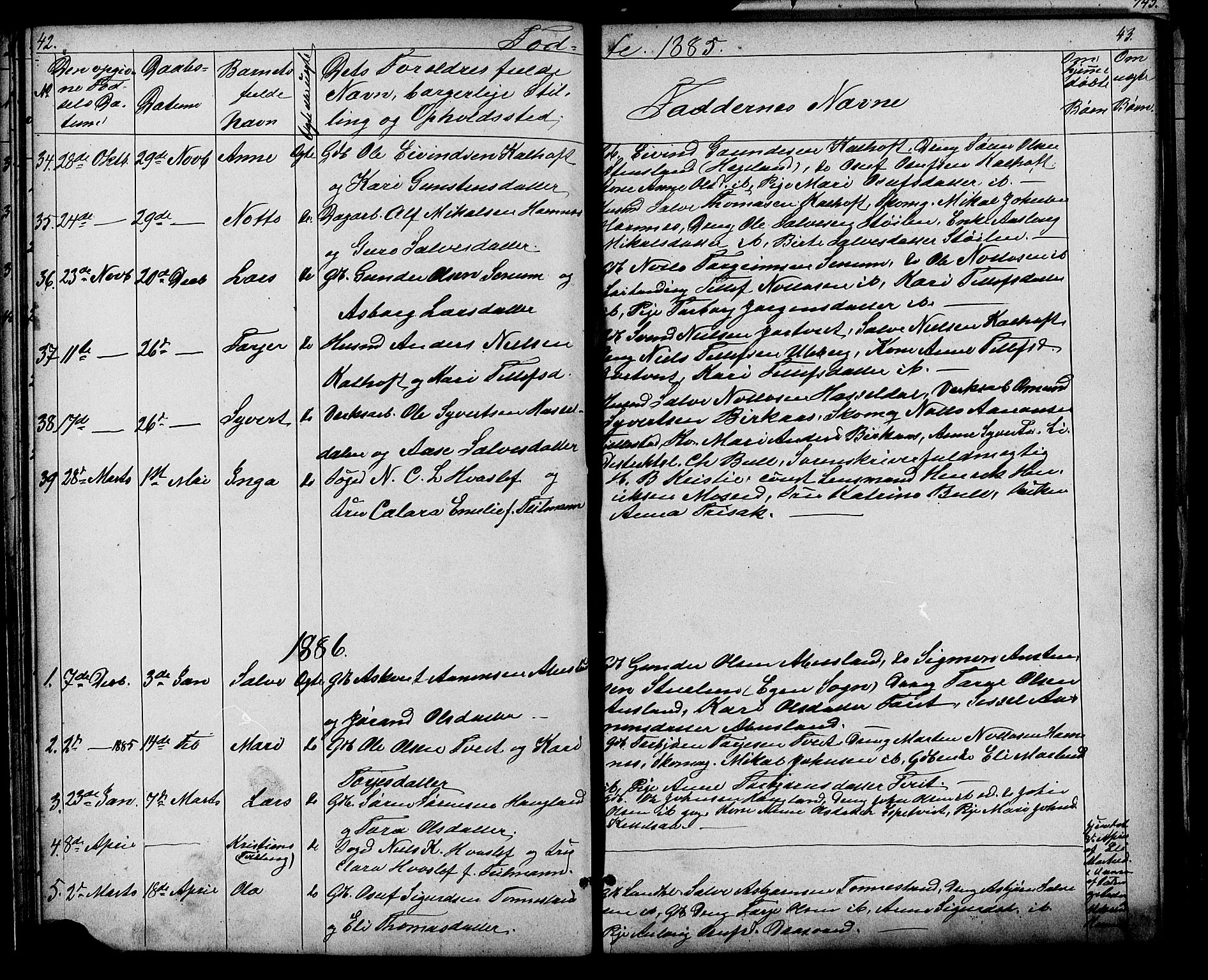 Evje sokneprestkontor, SAK/1111-0008/F/Fb/Fbb/L0002: Parish register (copy) no. B 2, 1879-1909, p. 42-43
