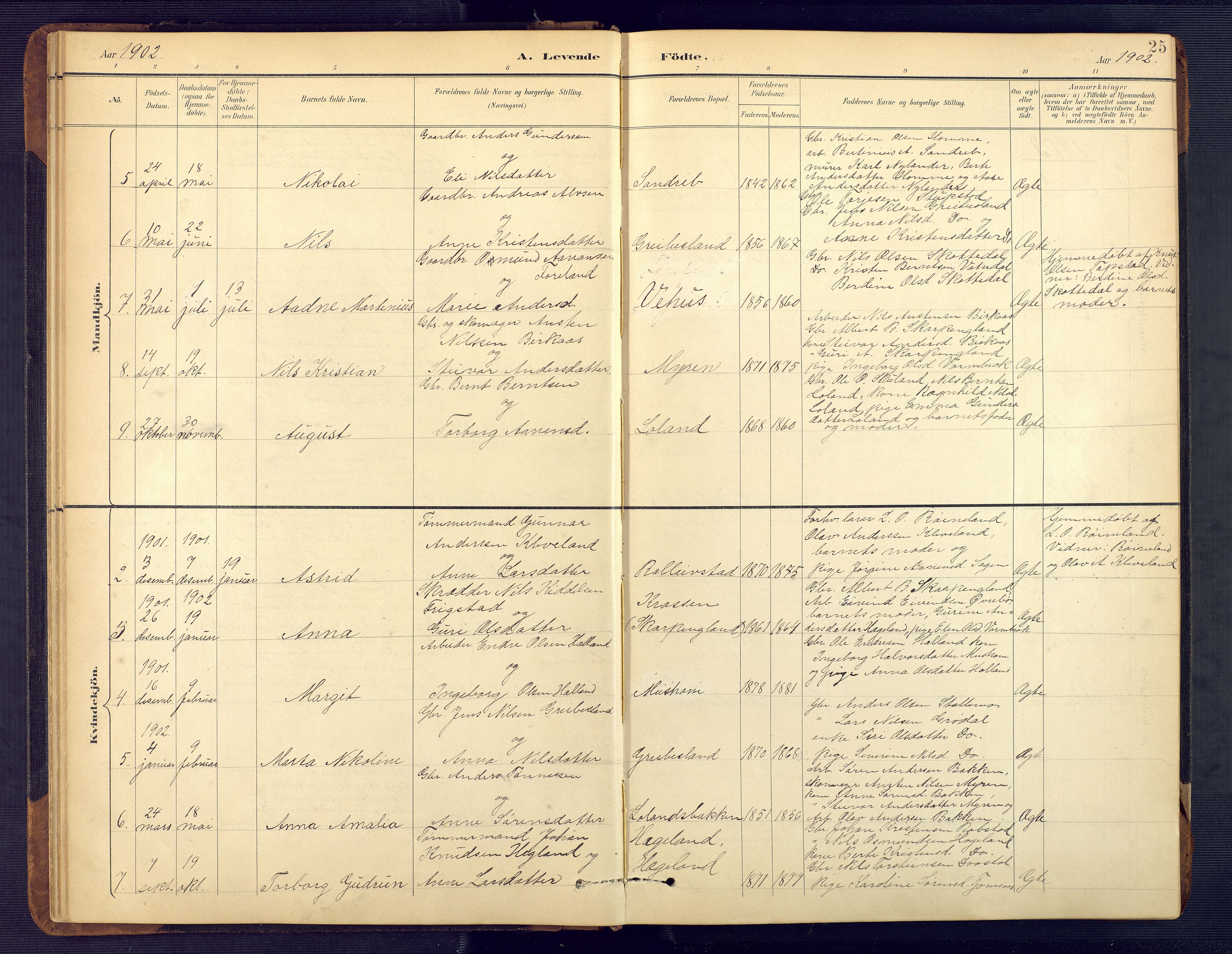 Vennesla sokneprestkontor, SAK/1111-0045/Fb/Fbc/L0003: Parish register (copy) no. B 3, 1895-1946, p. 25