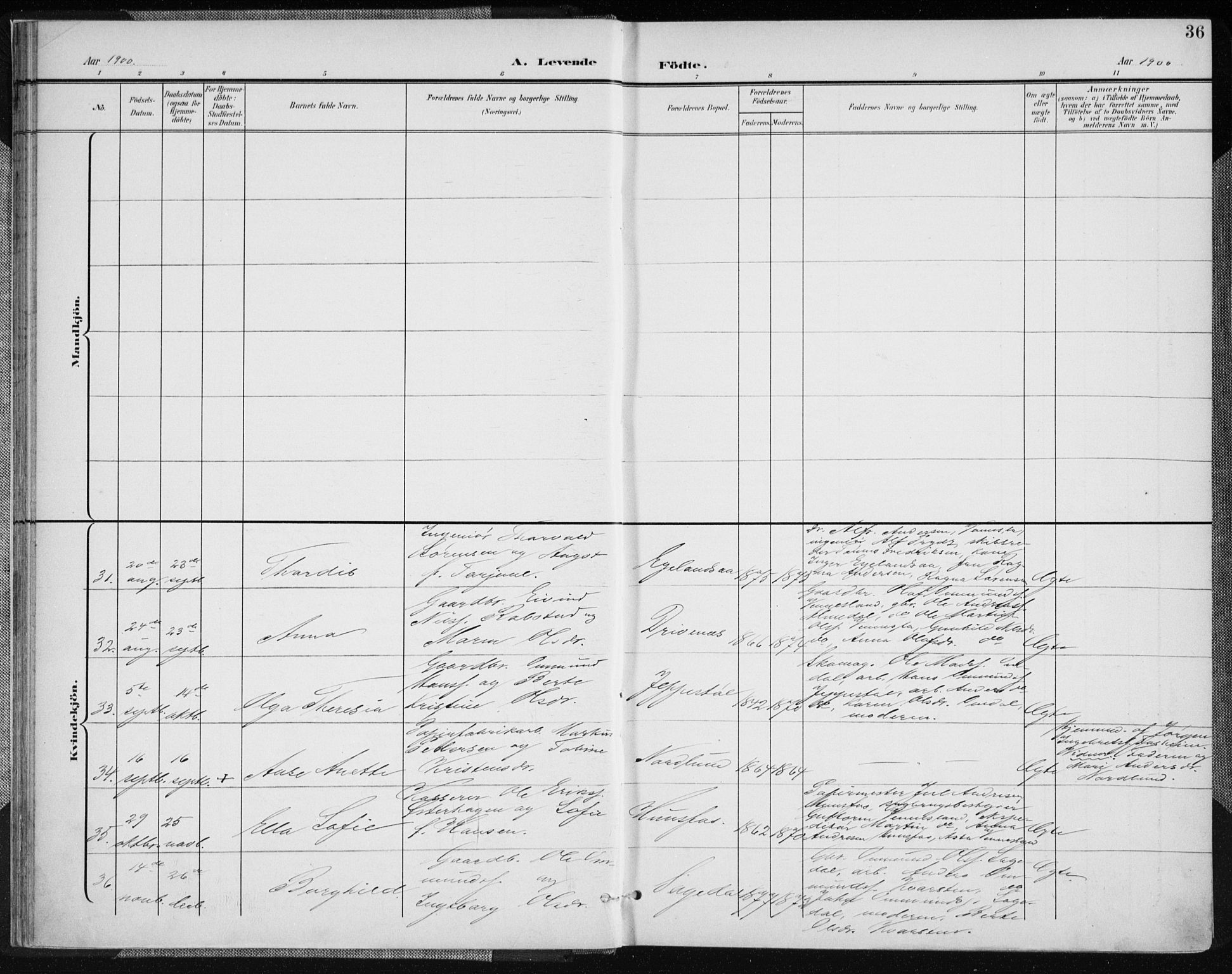 Vennesla sokneprestkontor, AV/SAK-1111-0045/Fa/Fab/L0005: Parish register (official) no. A 5, 1897-1909, p. 36