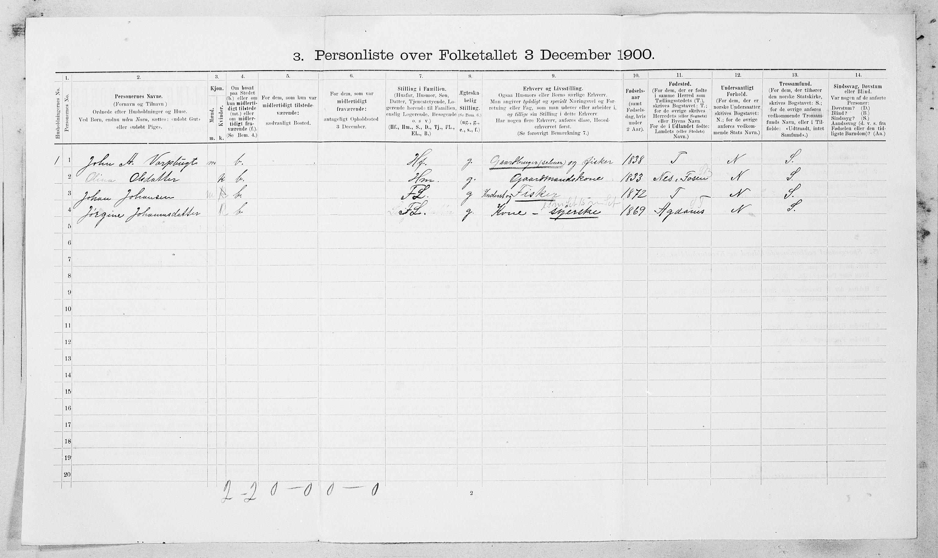 SAT, 1900 census for Hemne, 1900, p. 220