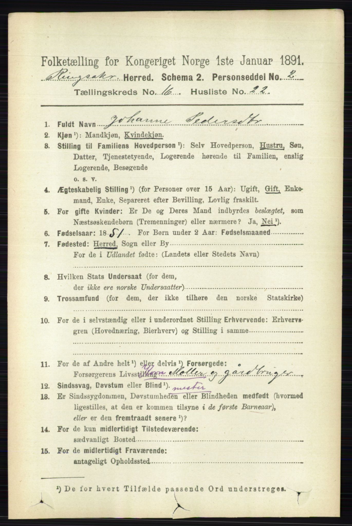 RA, 1891 census for 0412 Ringsaker, 1891, p. 9219