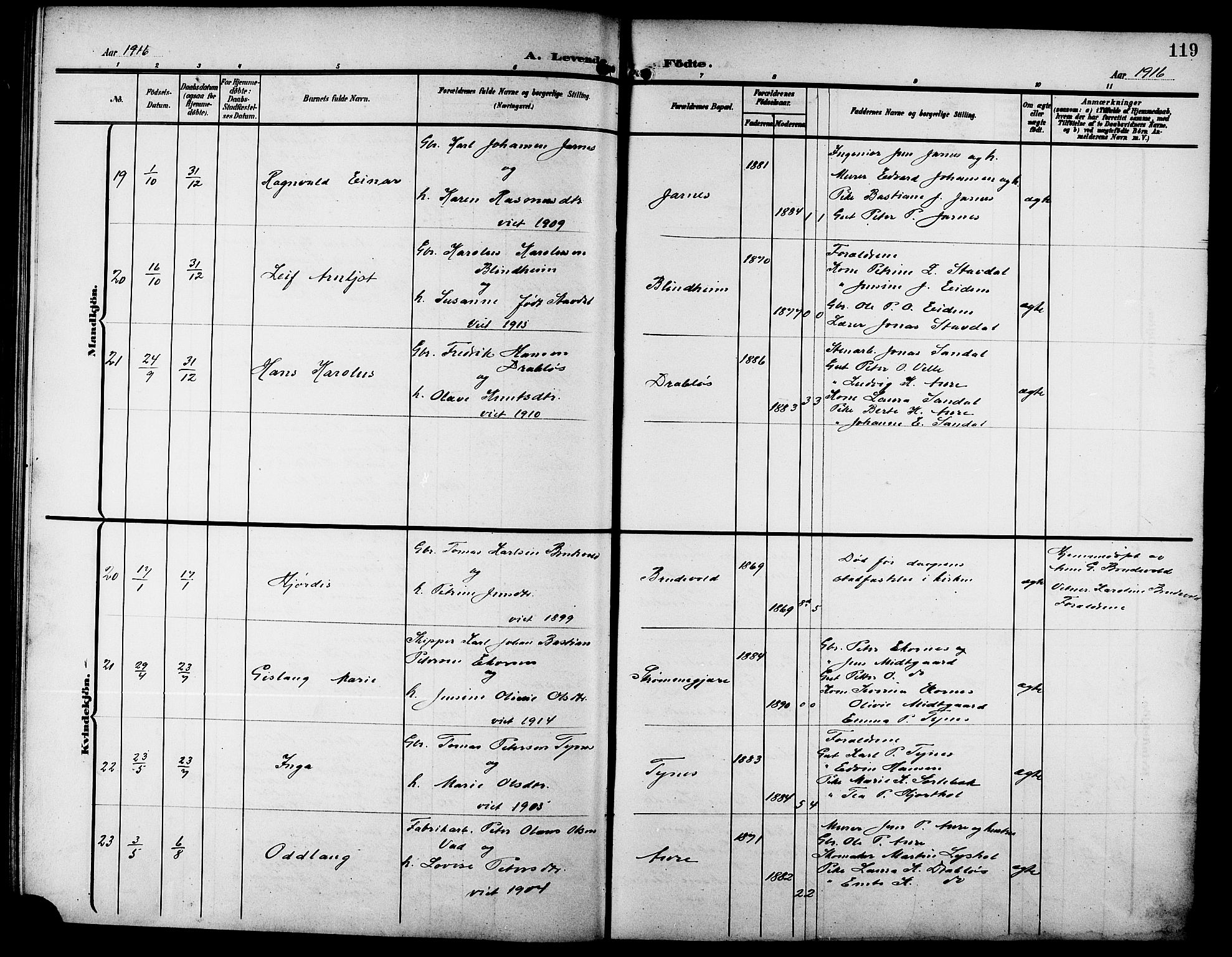 Ministerialprotokoller, klokkerbøker og fødselsregistre - Møre og Romsdal, SAT/A-1454/523/L0341: Parish register (copy) no. 523C04, 1903-1916, p. 119