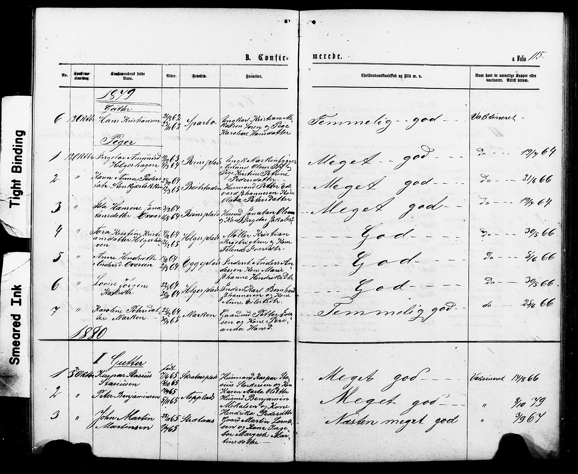 Ministerialprotokoller, klokkerbøker og fødselsregistre - Nord-Trøndelag, SAT/A-1458/740/L0380: Parish register (copy) no. 740C01, 1868-1902, p. 115
