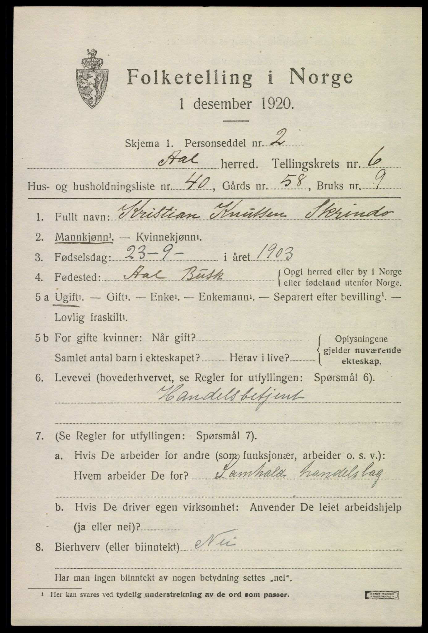 SAKO, 1920 census for Ål, 1920, p. 4788