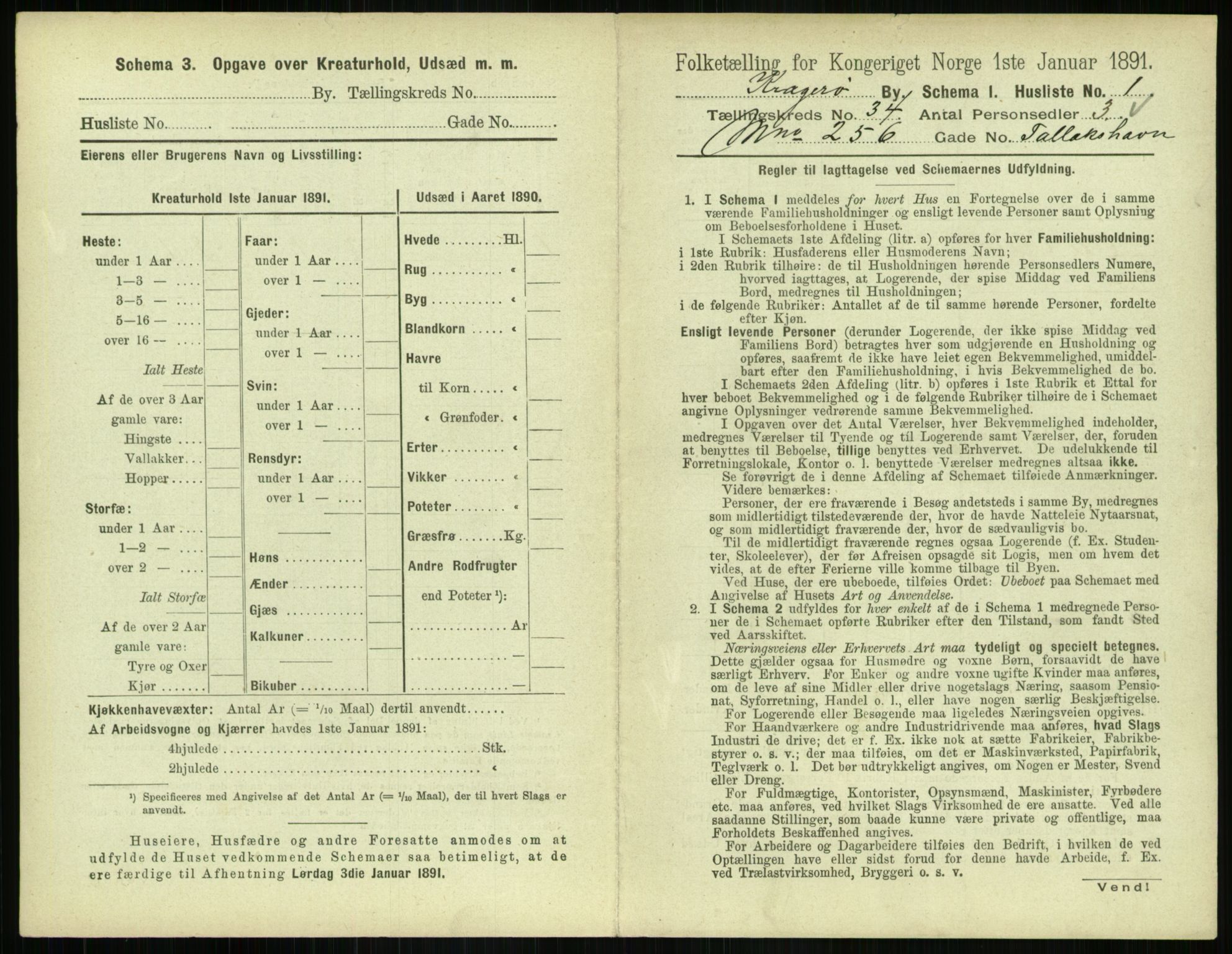 RA, 1891 census for 0801 Kragerø, 1891, p. 1234