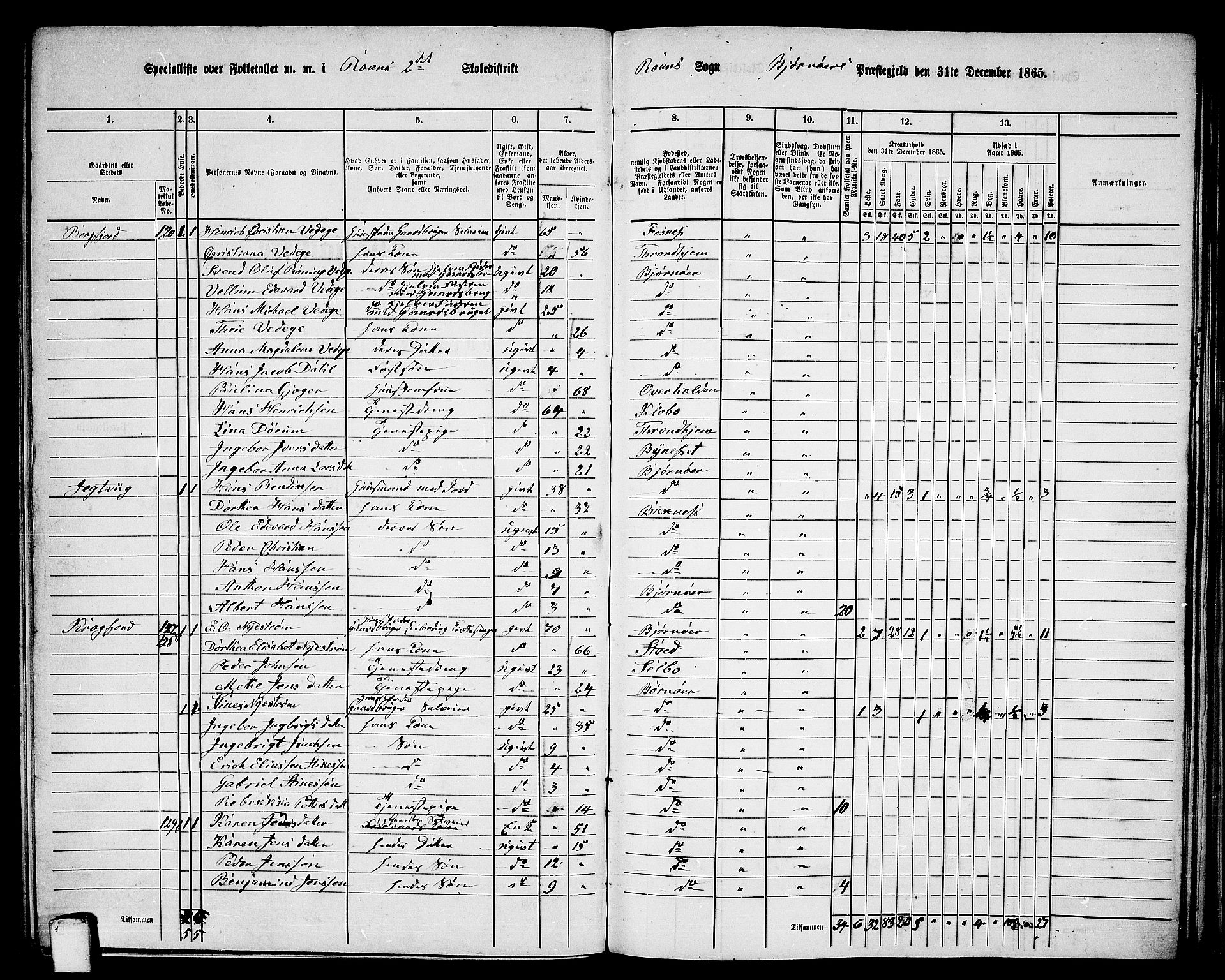 RA, 1865 census for Bjørnør, 1865, p. 102