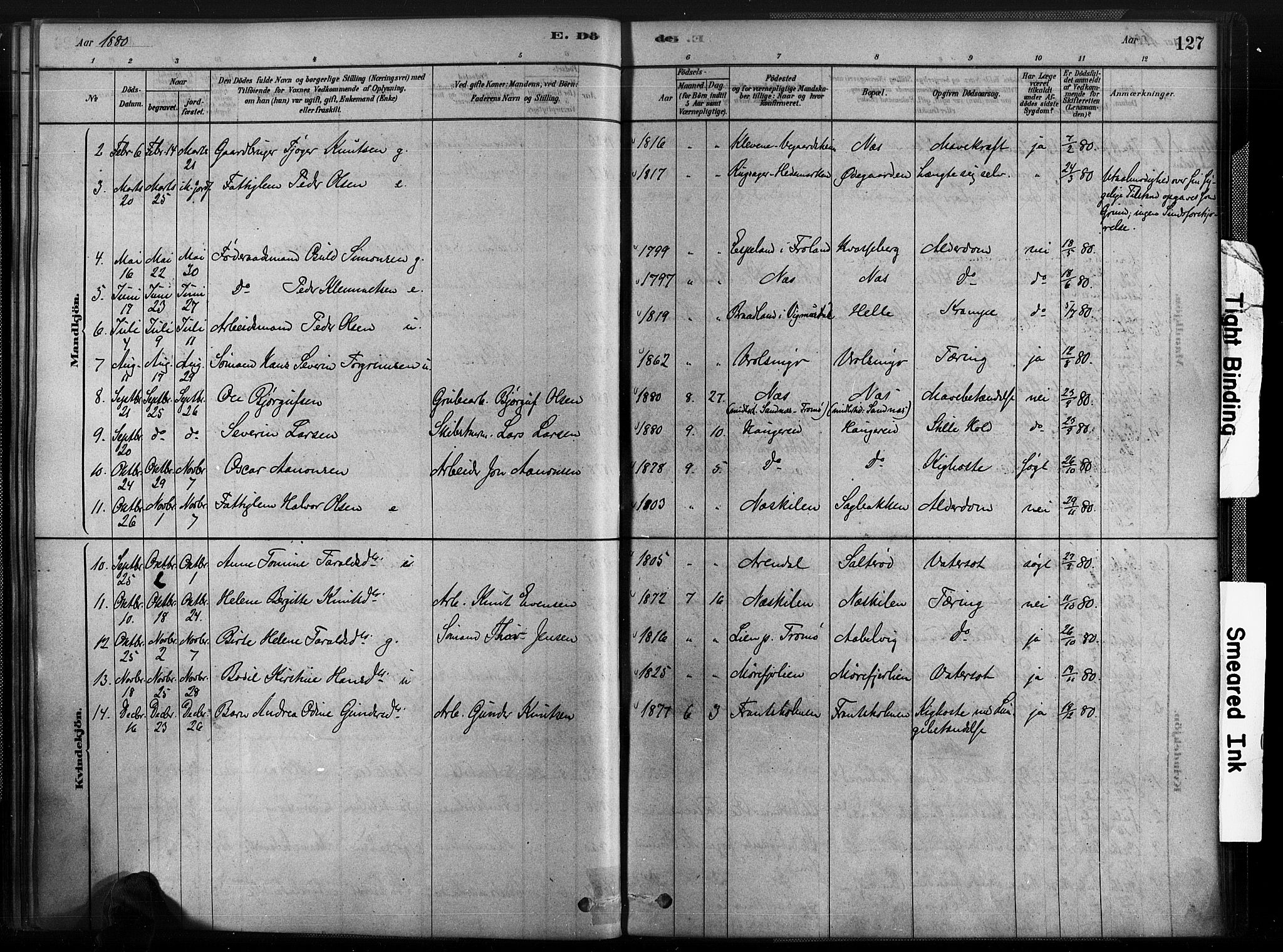 Austre Moland sokneprestkontor, SAK/1111-0001/F/Fa/Fab/L0001: Parish register (official) no. A 1, 1878-1898, p. 127