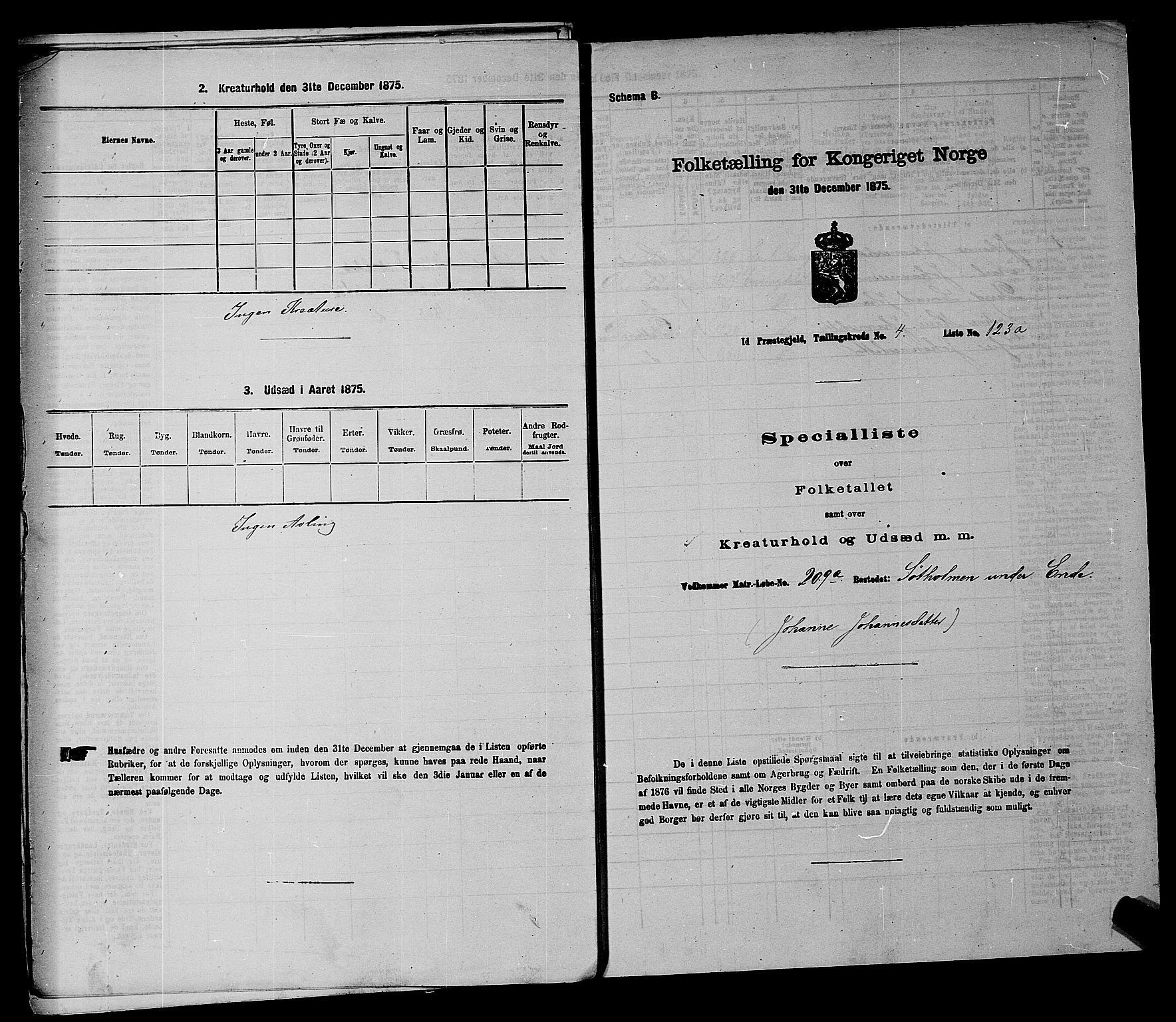 RA, 1875 census for 0117P Idd, 1875, p. 916