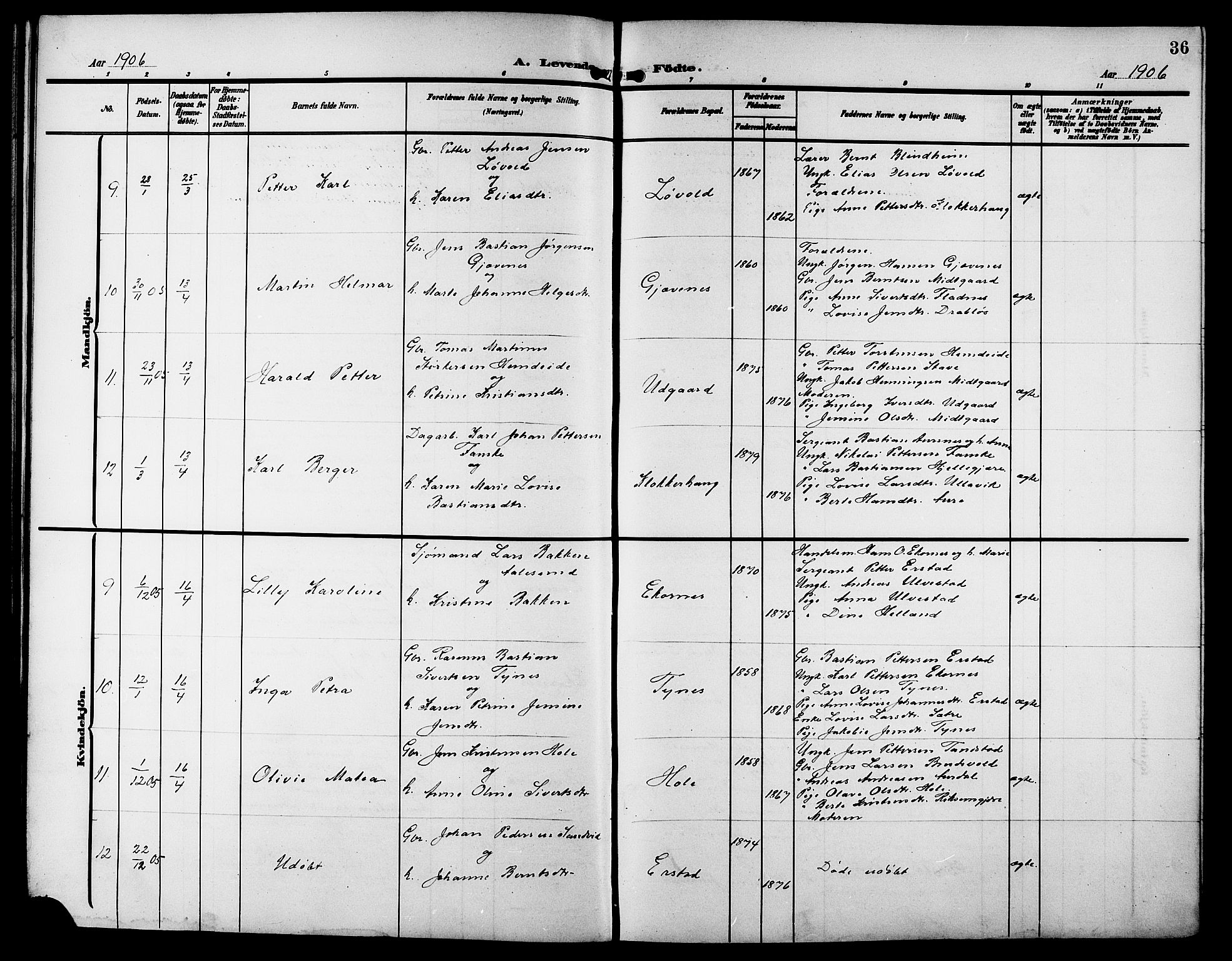 Ministerialprotokoller, klokkerbøker og fødselsregistre - Møre og Romsdal, AV/SAT-A-1454/523/L0341: Parish register (copy) no. 523C04, 1903-1916, p. 36