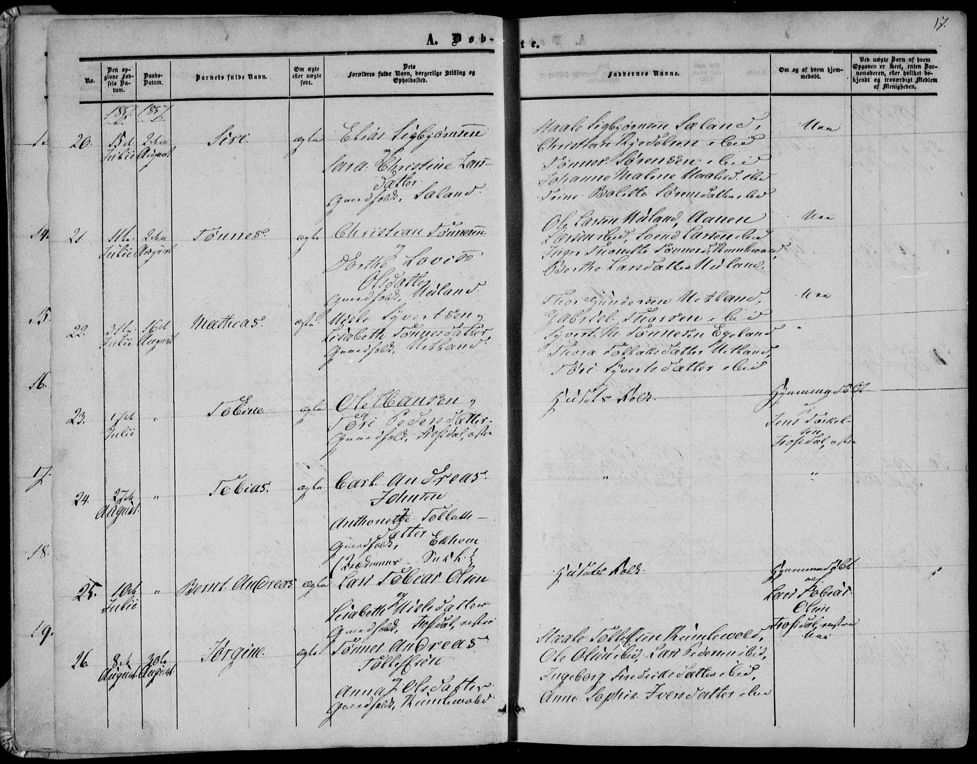 Bakke sokneprestkontor, AV/SAK-1111-0002/F/Fa/Fab/L0002: Parish register (official) no. A 2, 1855-1884, p. 17