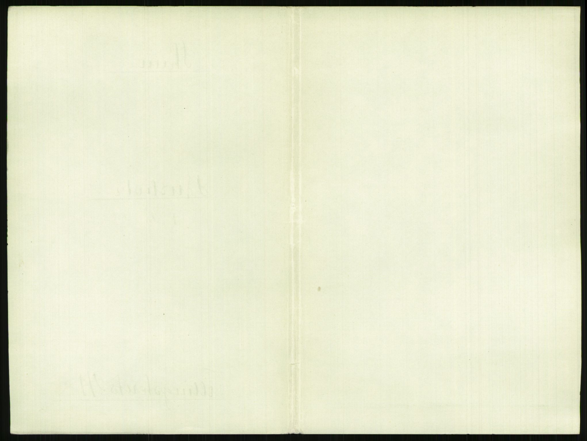 RA, 1891 census for 0806 Skien, 1891, p. 1457