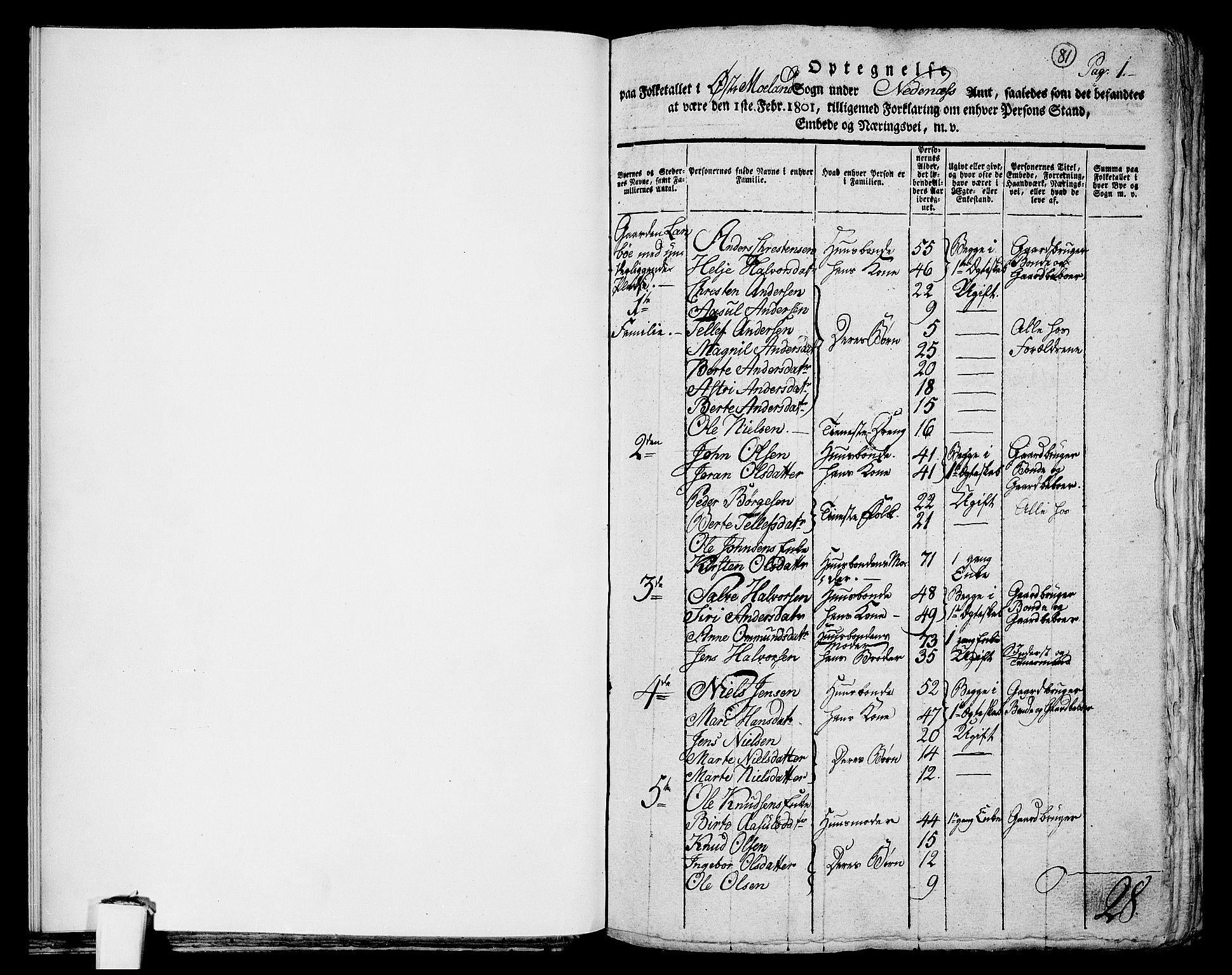 RA, 1801 census for 0918P Austre Moland, 1801, p. 81a