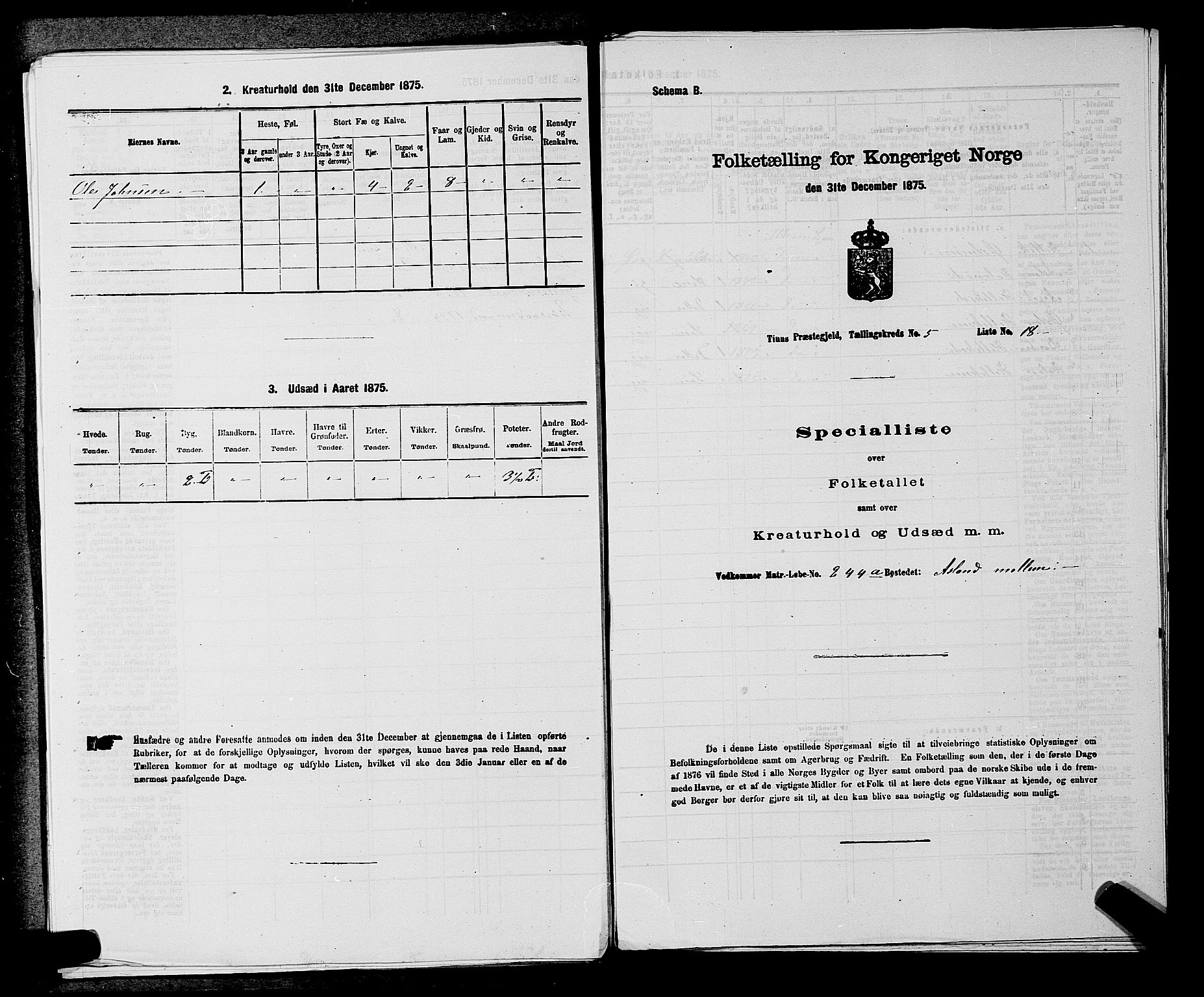 SAKO, 1875 census for 0826P Tinn, 1875, p. 718