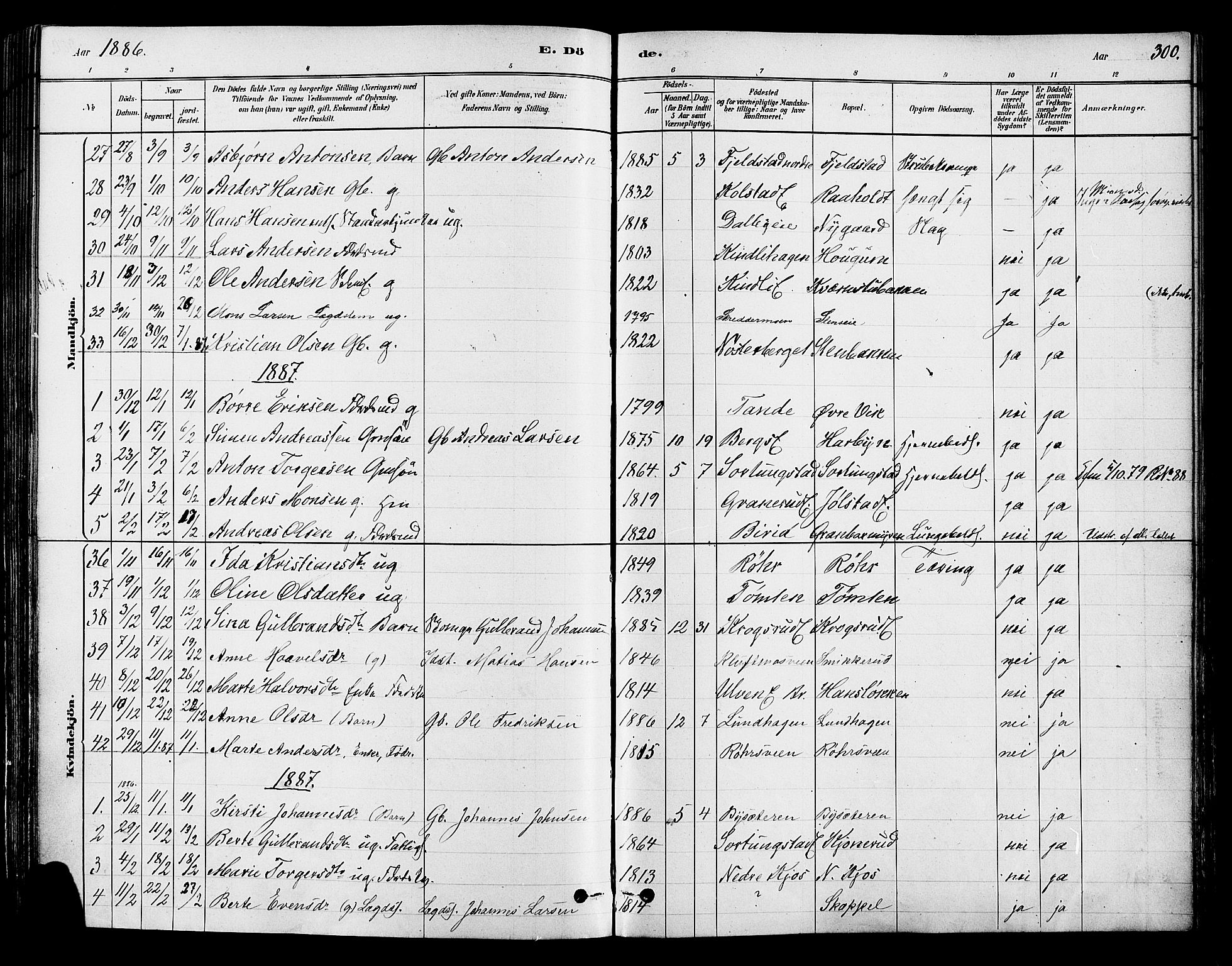 Ringsaker prestekontor, SAH/PREST-014/K/Ka/L0012: Parish register (official) no. 12, 1879-1890, p. 300