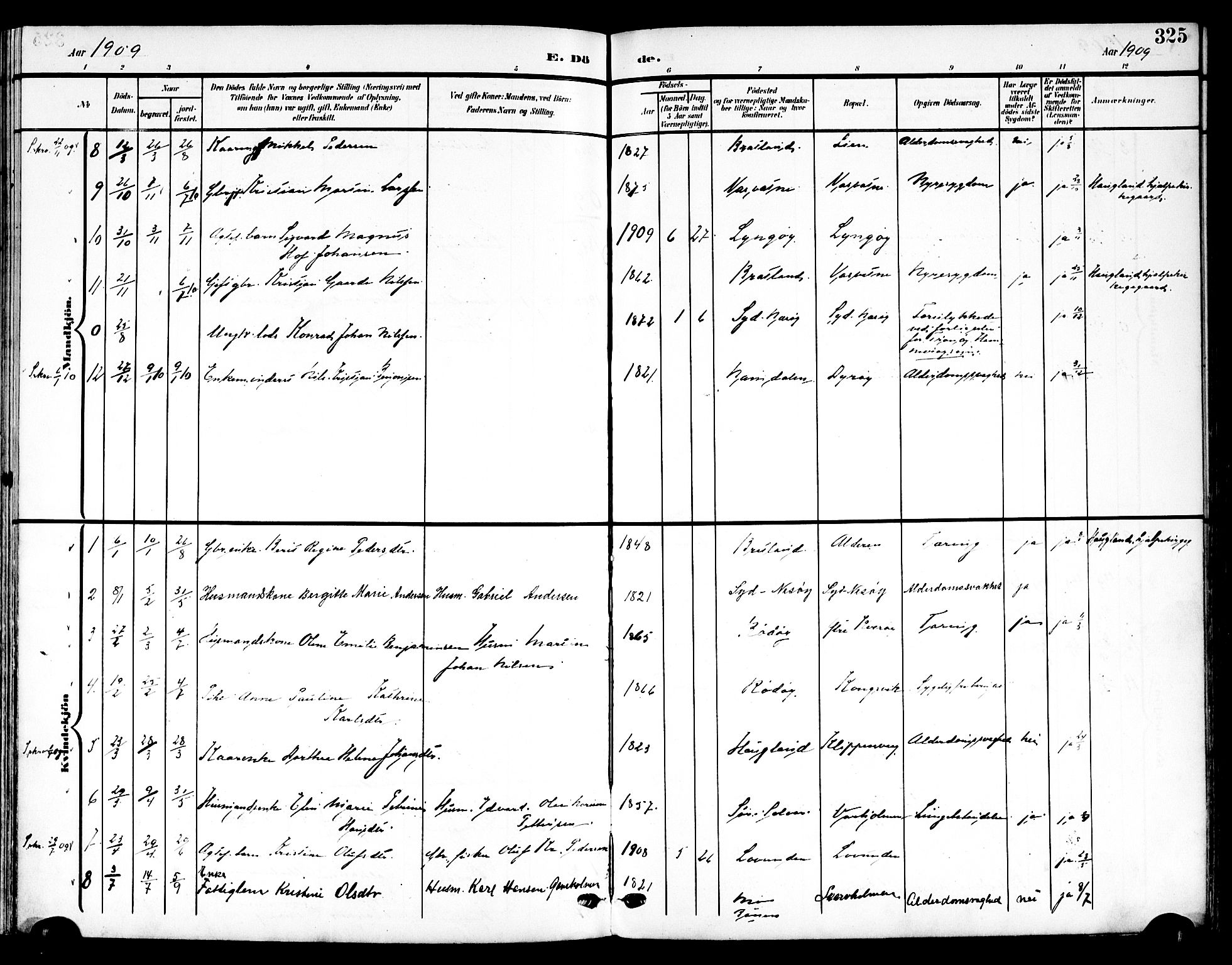 Ministerialprotokoller, klokkerbøker og fødselsregistre - Nordland, AV/SAT-A-1459/839/L0569: Parish register (official) no. 839A06, 1903-1922, p. 325