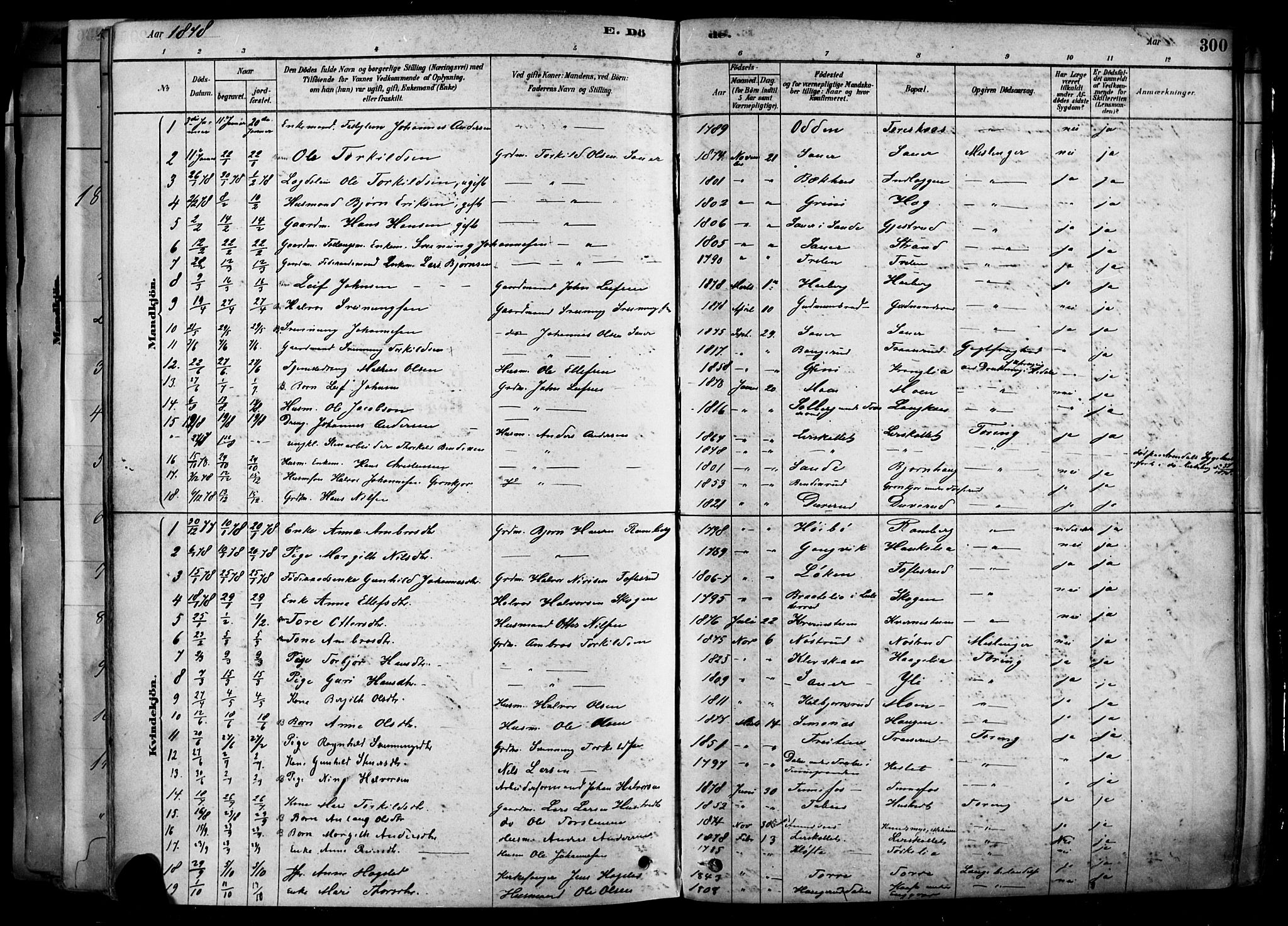 Heddal kirkebøker, SAKO/A-268/F/Fa/L0008: Parish register (official) no. I 8, 1878-1903, p. 300