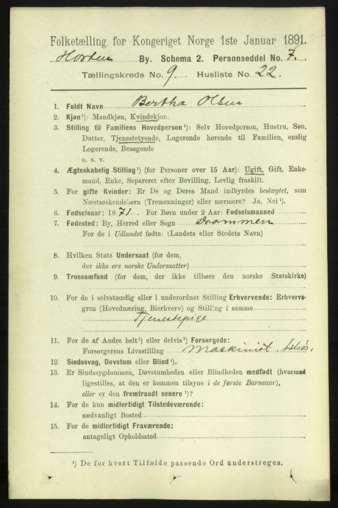 RA, 1891 census for 0703 Horten, 1891, p. 5756