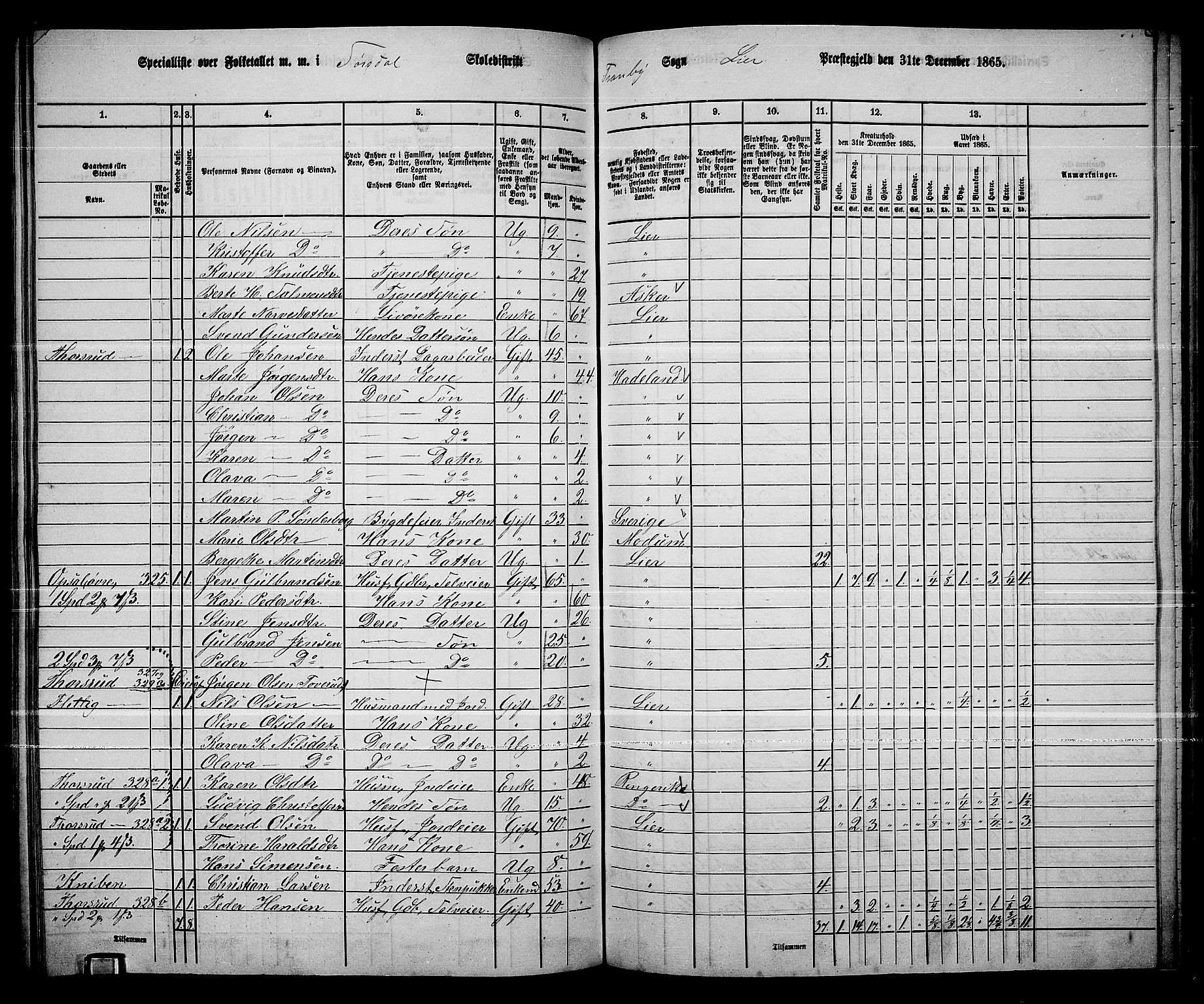 RA, 1865 census for Lier, 1865, p. 176