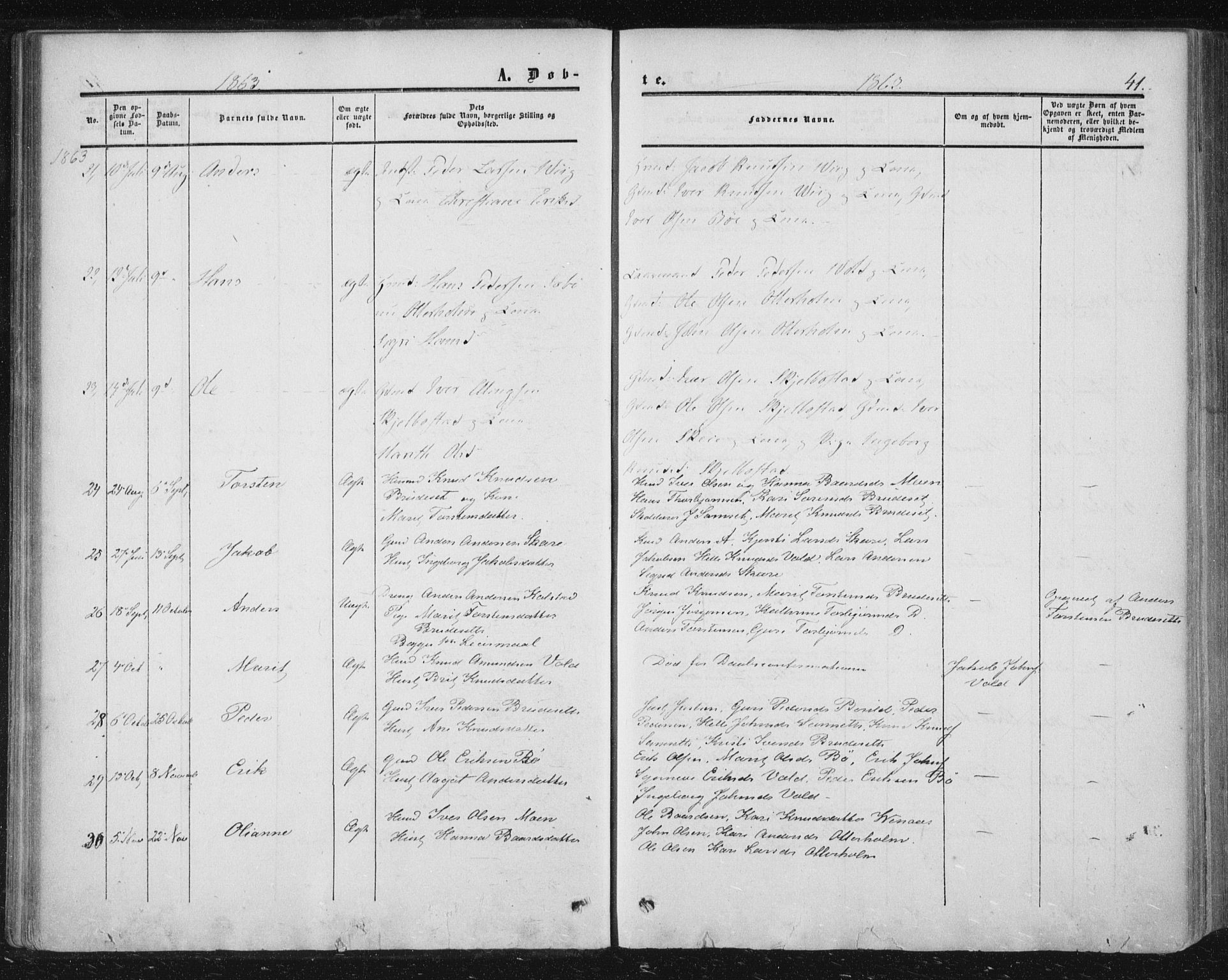 Ministerialprotokoller, klokkerbøker og fødselsregistre - Møre og Romsdal, AV/SAT-A-1454/543/L0562: Parish register (official) no. 543A02, 1854-1884, p. 41