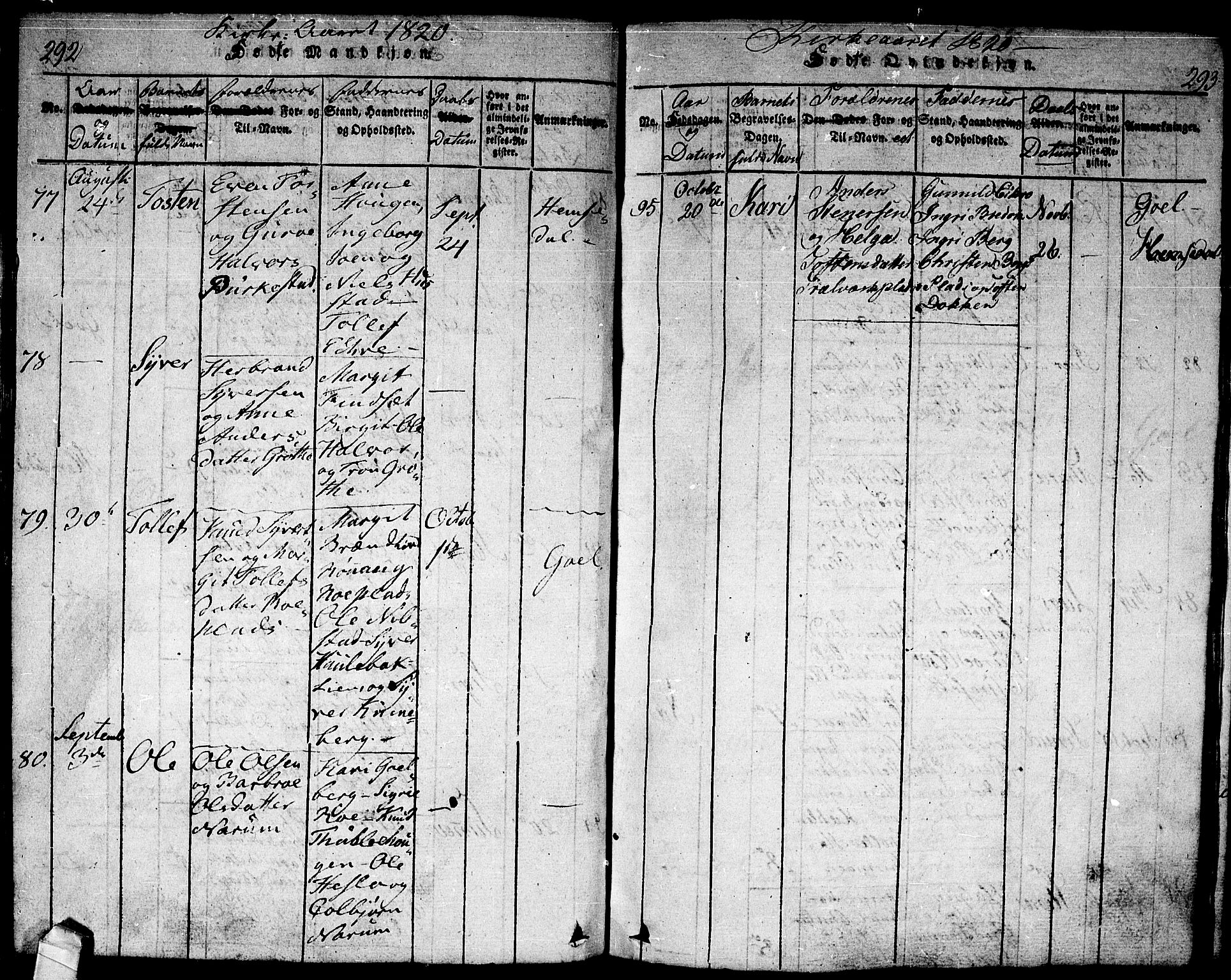 Nes kirkebøker, AV/SAKO-A-236/F/Fa/L0007: Parish register (official) no. 7, 1815-1823, p. 292-293